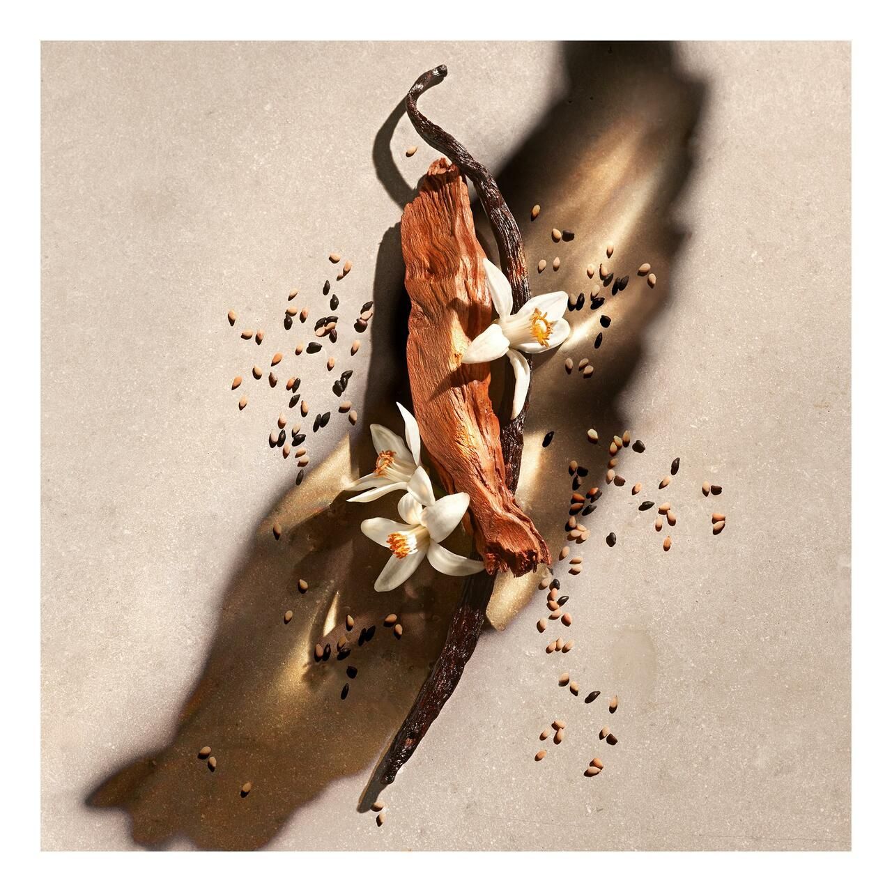 Vanilleschote, getrocknetes Holzstück, Blüten und Samen auf hellem Untergrund. Natürliche Elemente, Detailaufnahme.