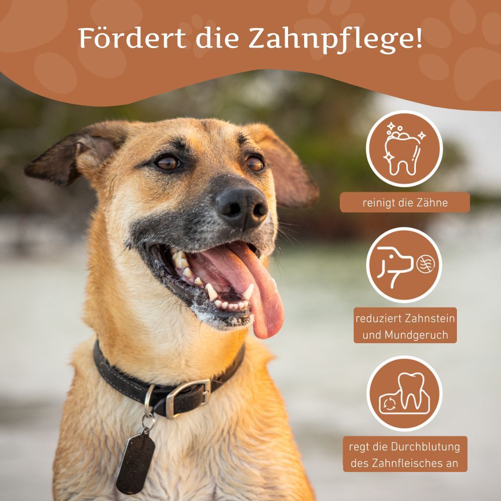 Hund mit offenem Maul. Grafiken: Zähne reinigen, Zahnstein reduzieren, Durchblutung fördern. Text: Fördert die Zahnpflege!