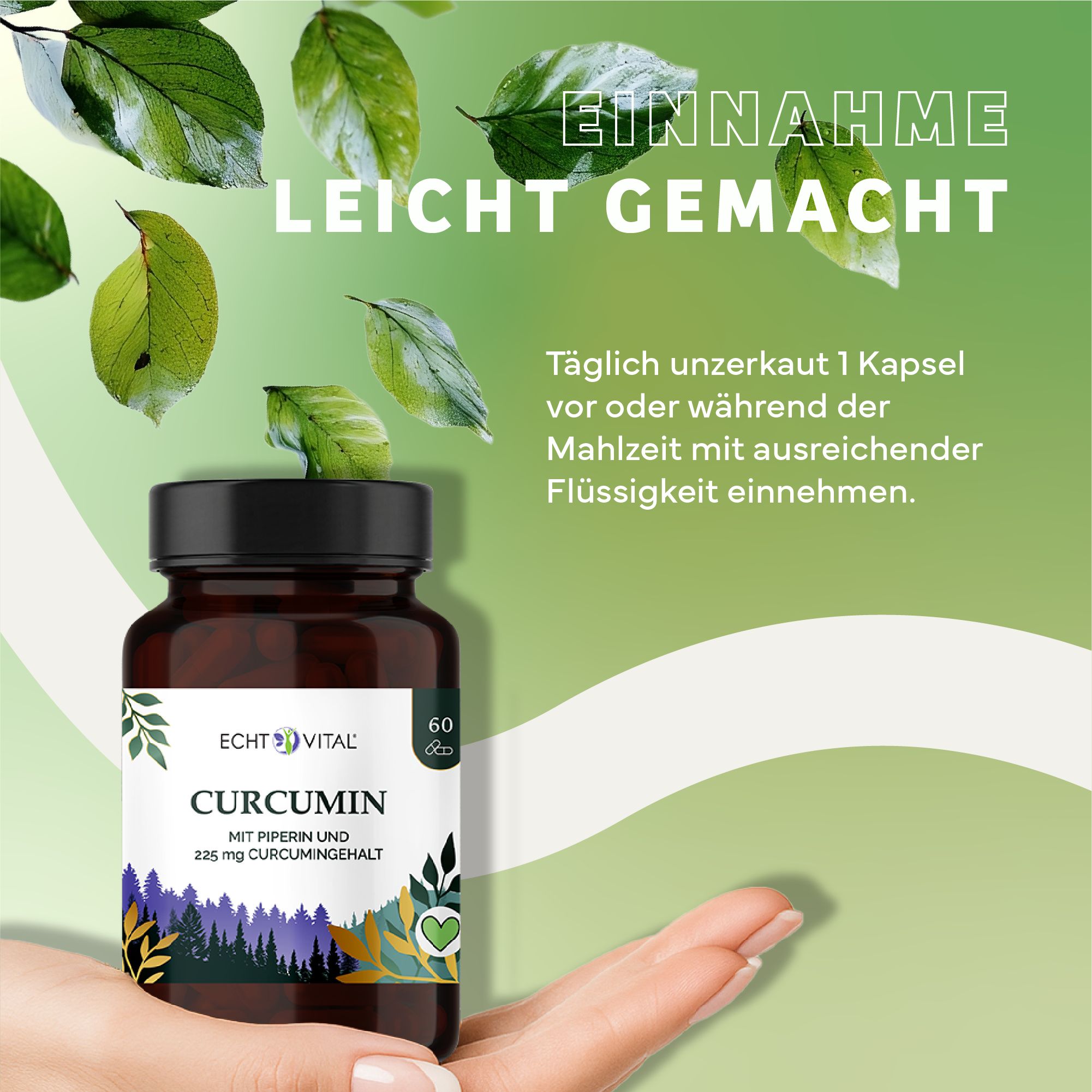 Braune Flasche mit schwarzem Deckel. Aufschrift: Echt Vital Curcumin. 60 Kapseln. Hand hält die Flasche. Grüne Blätter im Hintergrund.