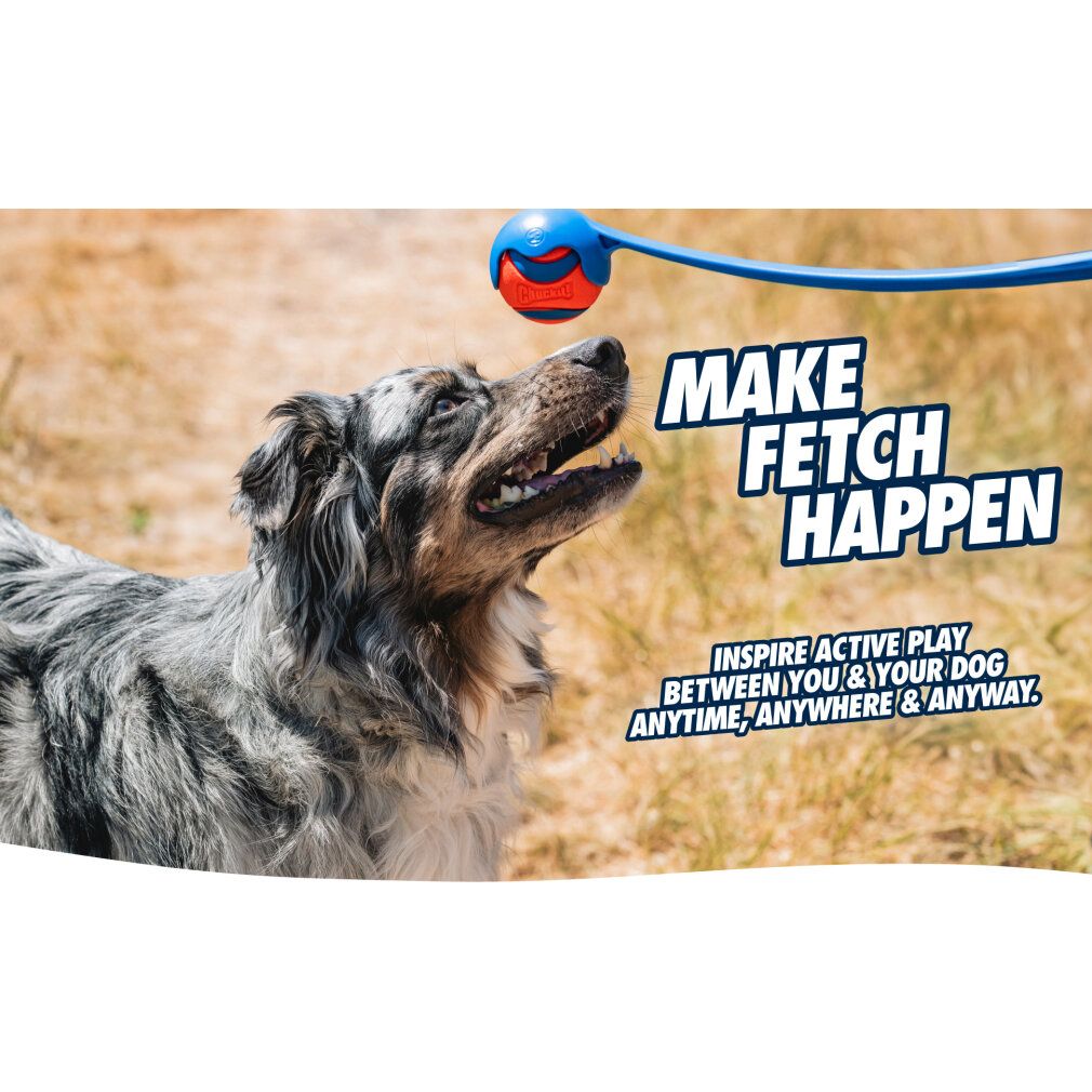 Hund schaut nach oben zu einem blauen Wurfstock mit orangefarbenem Ball. Text: Make Fetch Happen.