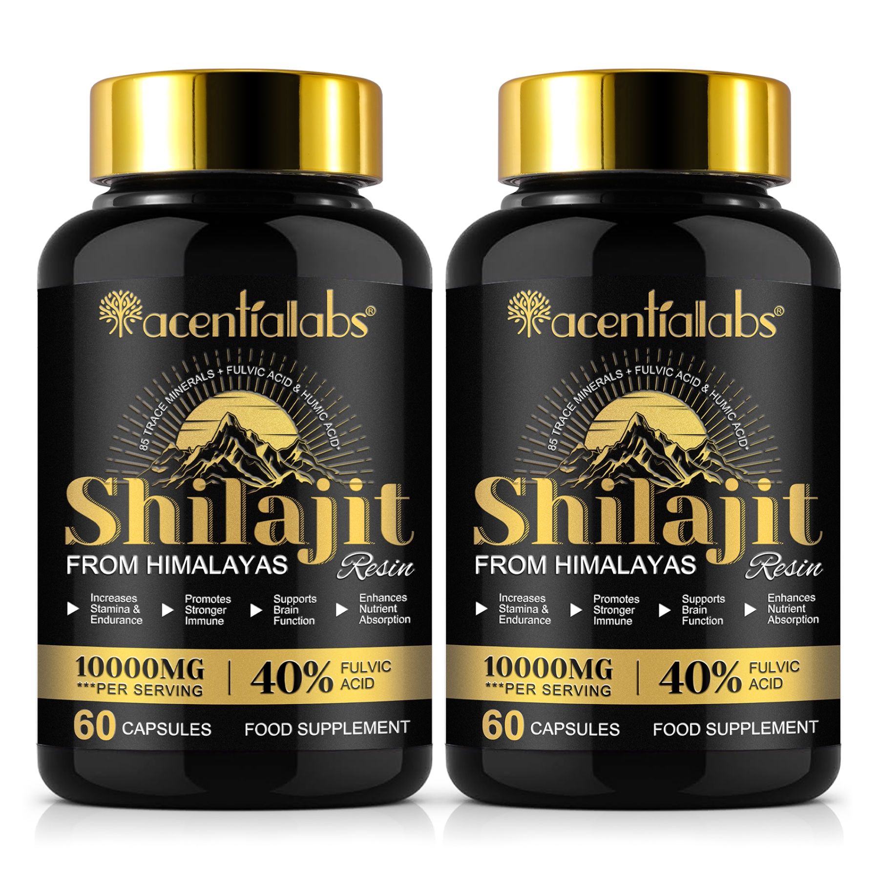 Zwei schwarze Flaschen mit goldenem Deckel. Shilajit-Kapseln. Text: 10000mg pro Portion, 40% Fulvinsäure, 60 Kapseln.