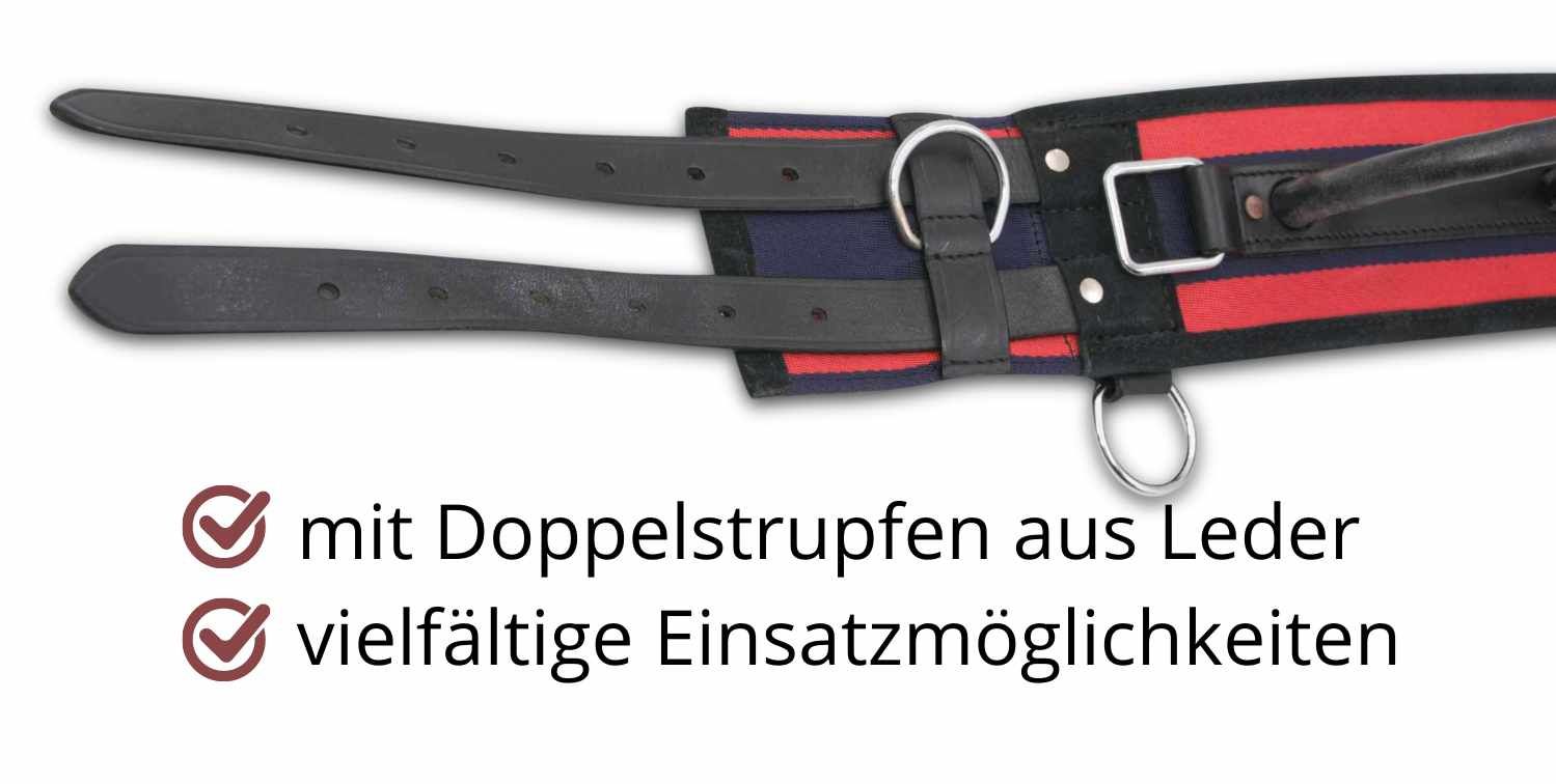 Nahaufnahme des Longiergurts. Schwarze Lederriemen, Metallringe, rote und blaue Akzente.