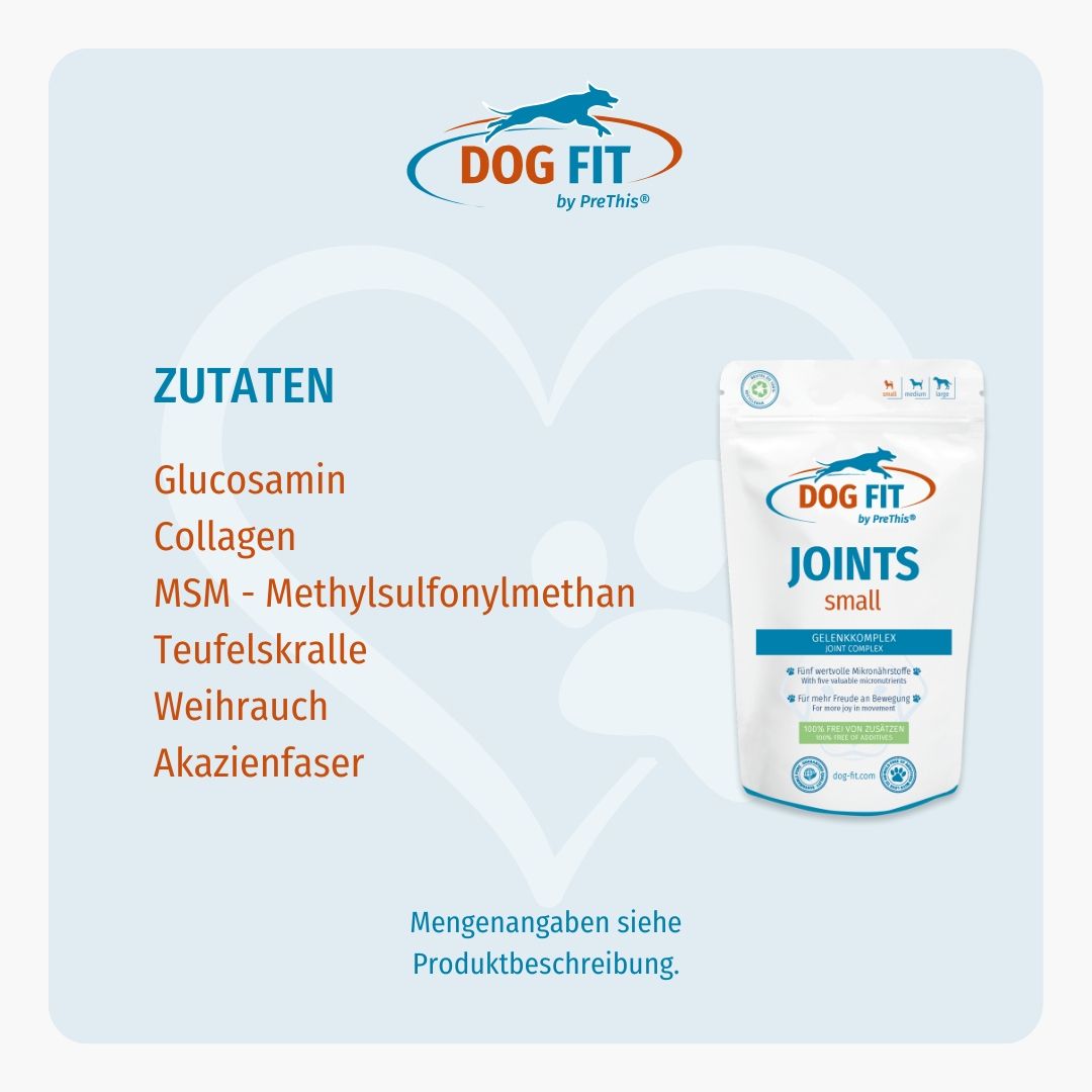 DOG FIT by PreThis® JOINTS & VITAMIN B Kombiset (small)