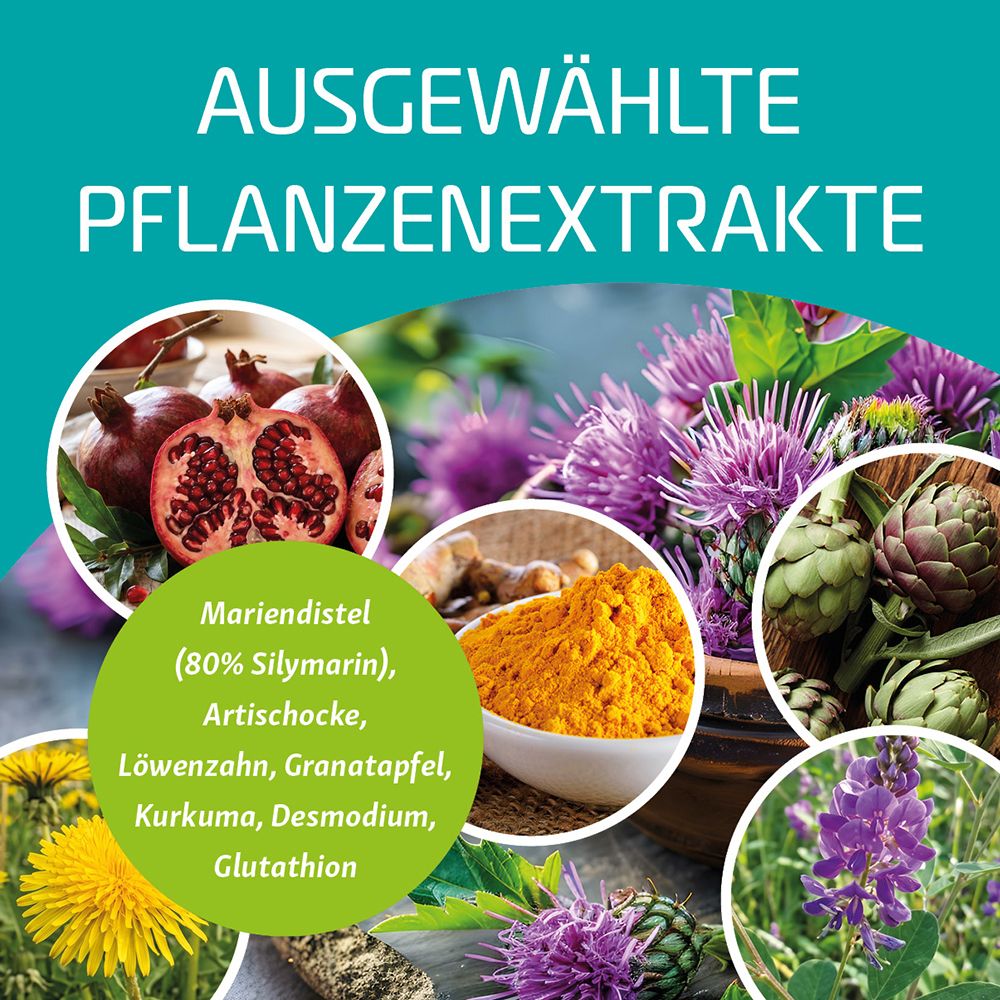 Ausgewählte Pflanzenextrakte für Leberentgiftung: Granatapfel, Mariendistel, Artischocke, Kurkuma.