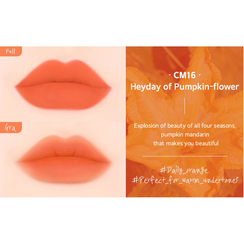 Zwei Lippen-Darstellungen in Orange. Text: CM16 Heyday of Pumpkin-flower. Text über Schönheit und Hashtags #Daily_orange und #Perfect_for_warm_undertones.