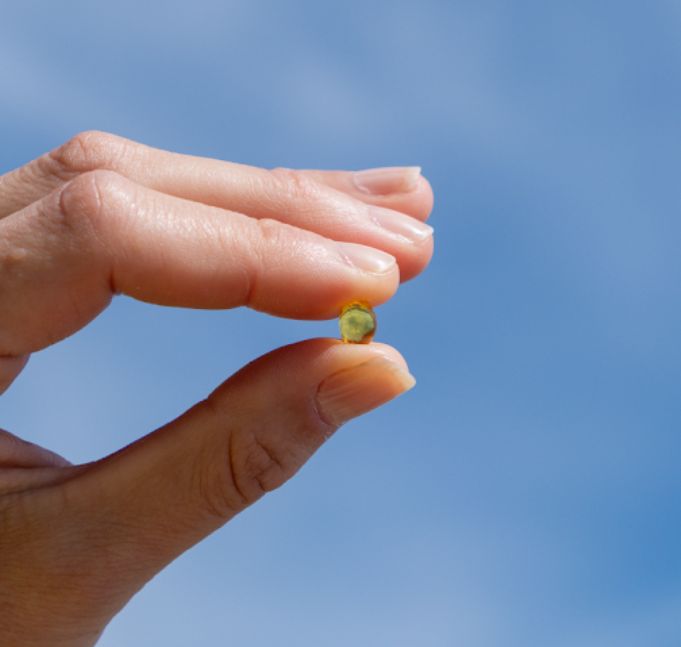 Finger halten eine einzelne Aavalabs Vitamin D3 Softgel-Kapsel vor blauem Himmel.