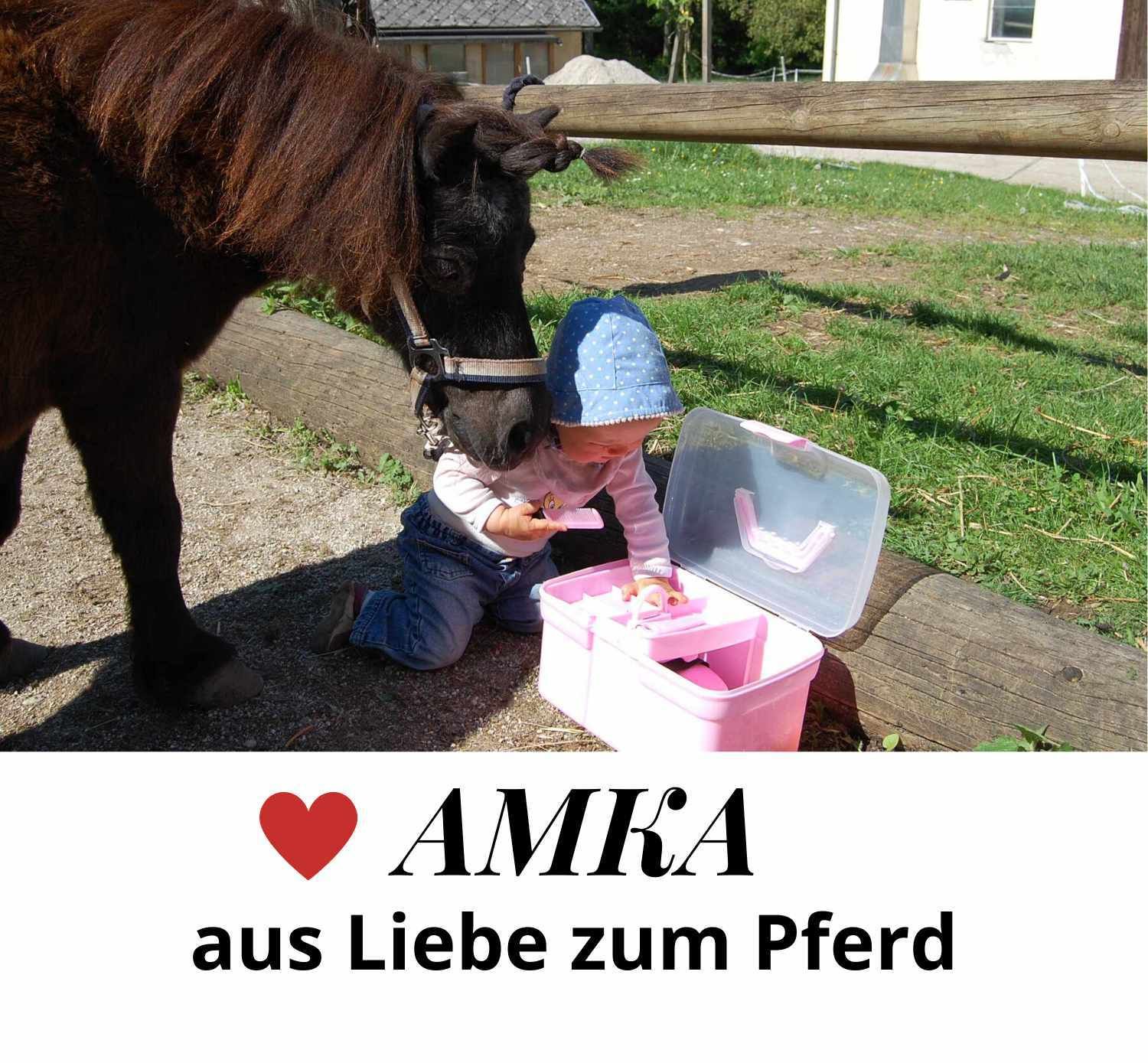 AMKA Putzbox LINA