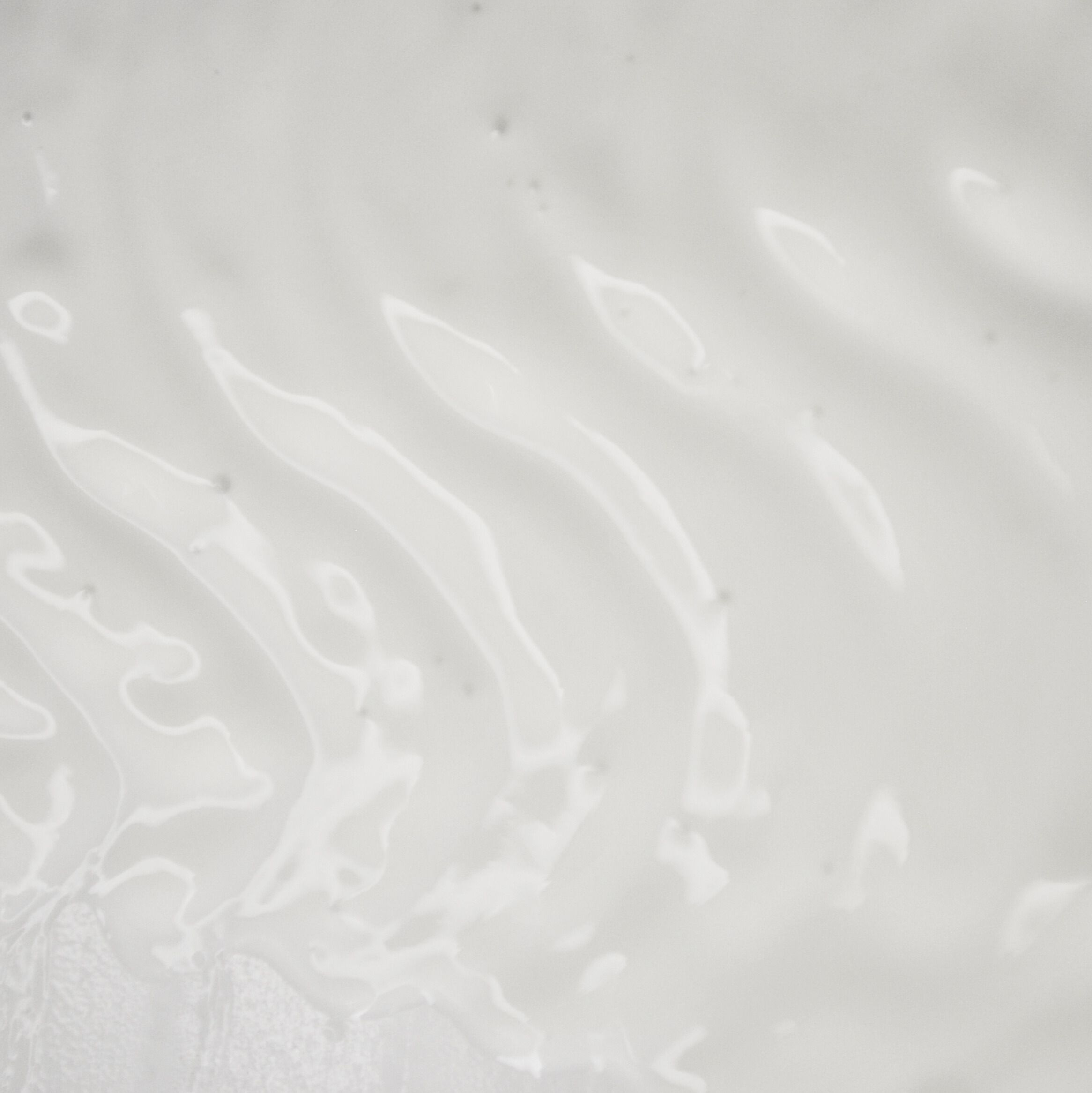 ED COSMETICS Straffende Augenpflege – ANTI-AGING, Feuchtigkeit & Aufhellung