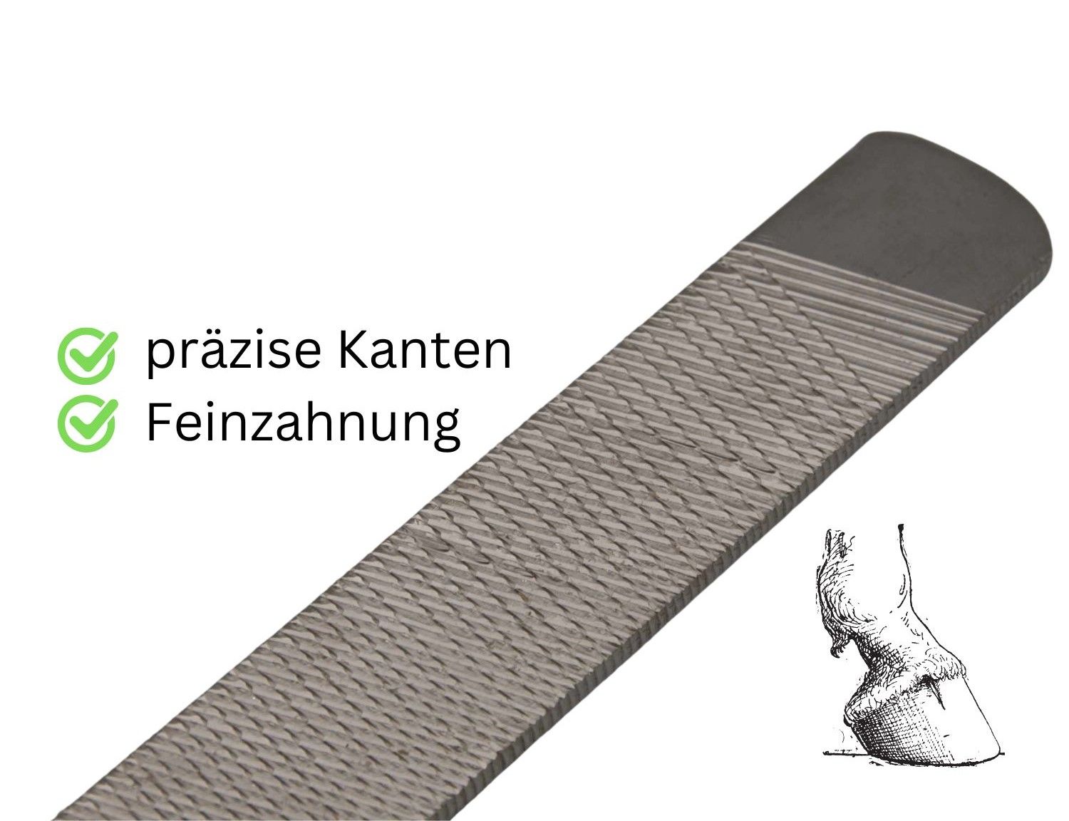 AMKA Hufraspel mit Holzgriff doppelseitig fein- und grobkörnig