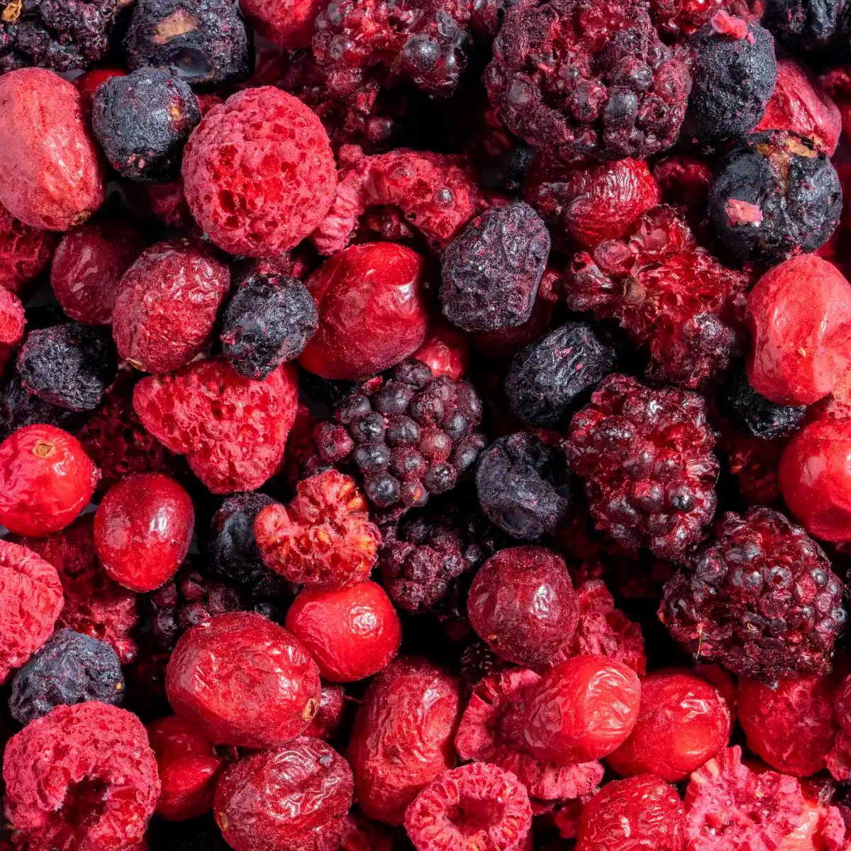 Nahaufnahme von gefriergetrockneten Waldbeeren: Himbeeren, Brombeeren, Heidelbeeren und rote Johannisbeeren.