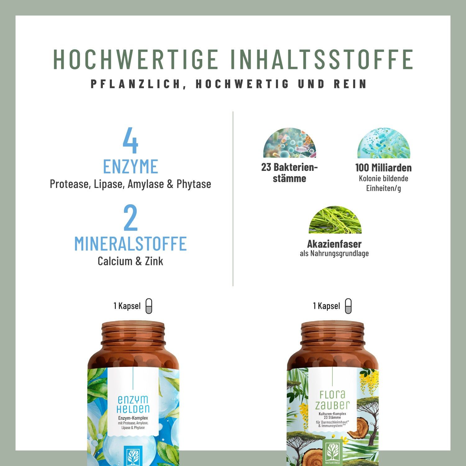 Infografik mit Informationen zu Enzymen und Mineralstoffen. Zwei Flaschen mit den Aufschriften ENZYMHELDEN und FLORAZAUBER.