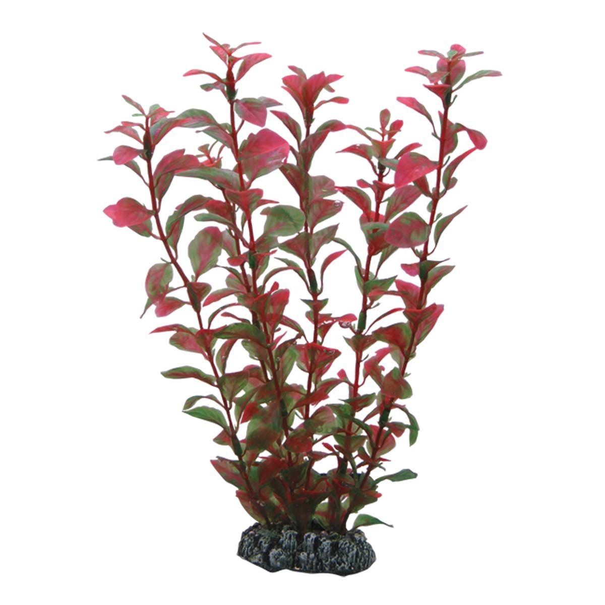 Aquarienpflanze Hobby Ludwigia. Rote und grüne Blätter an Stielen, auf einem grauen Sockel. Kunstpflanze.