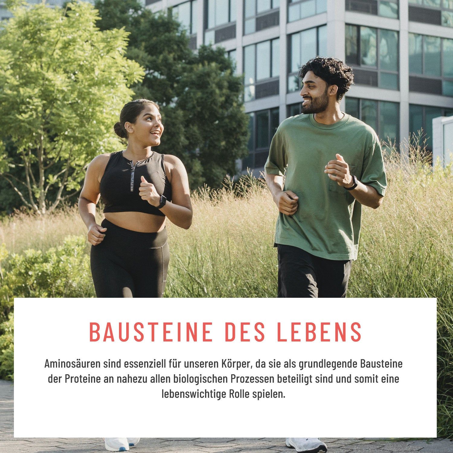 Aminosäuren Komplex hochdosiert vegan - Aminokraft - NATURTREU®