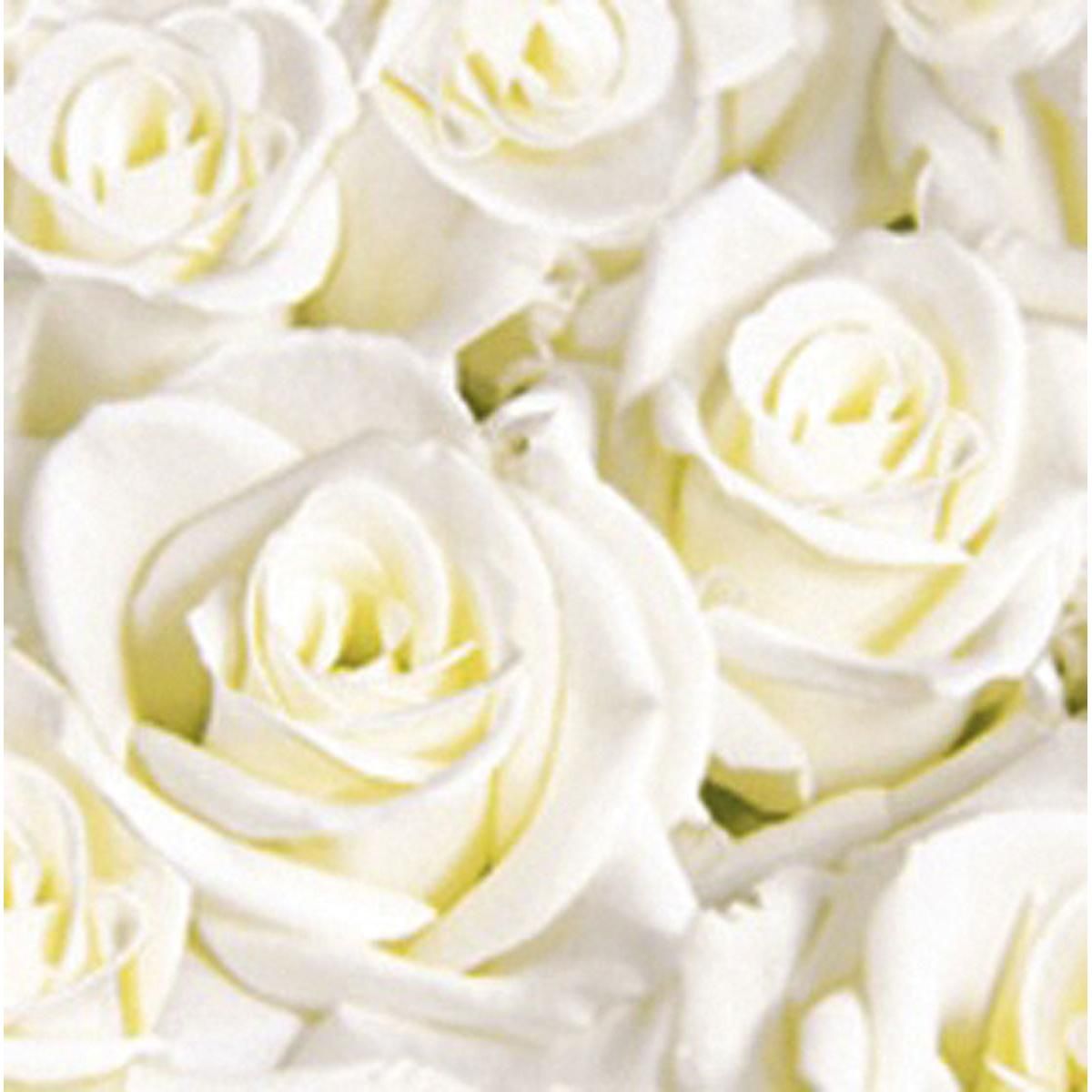 Dunisoft Servietten 40x40