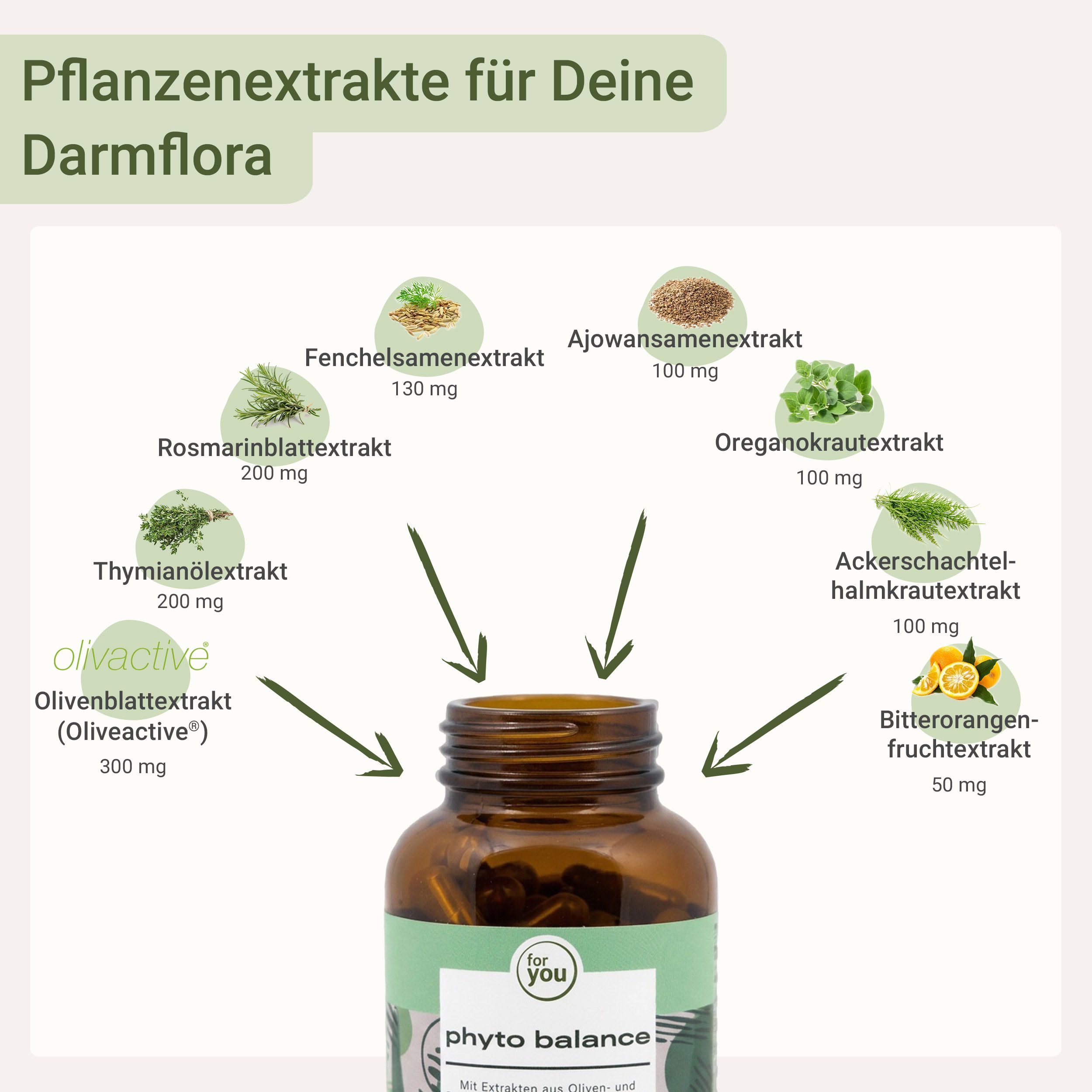Schema zeigt verschiedene Pflanzenextrakte, die in das Produkt fließen. Eine Flasche des Produkts ist unten abgebildet.
