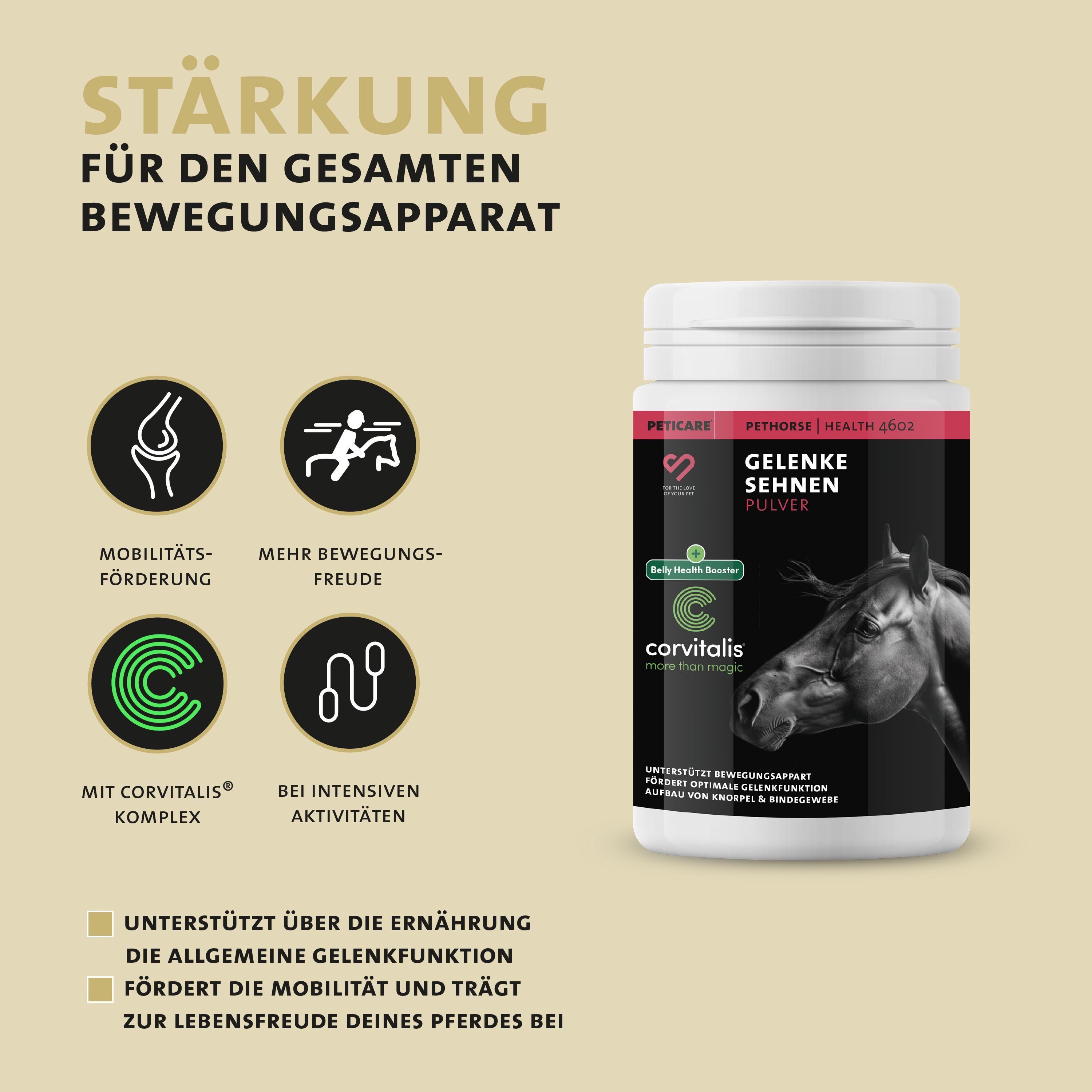 Peticare Gelenk-Kur Pulver für Pferde, unterstützt Gelenke & Sehnen, Knorpel