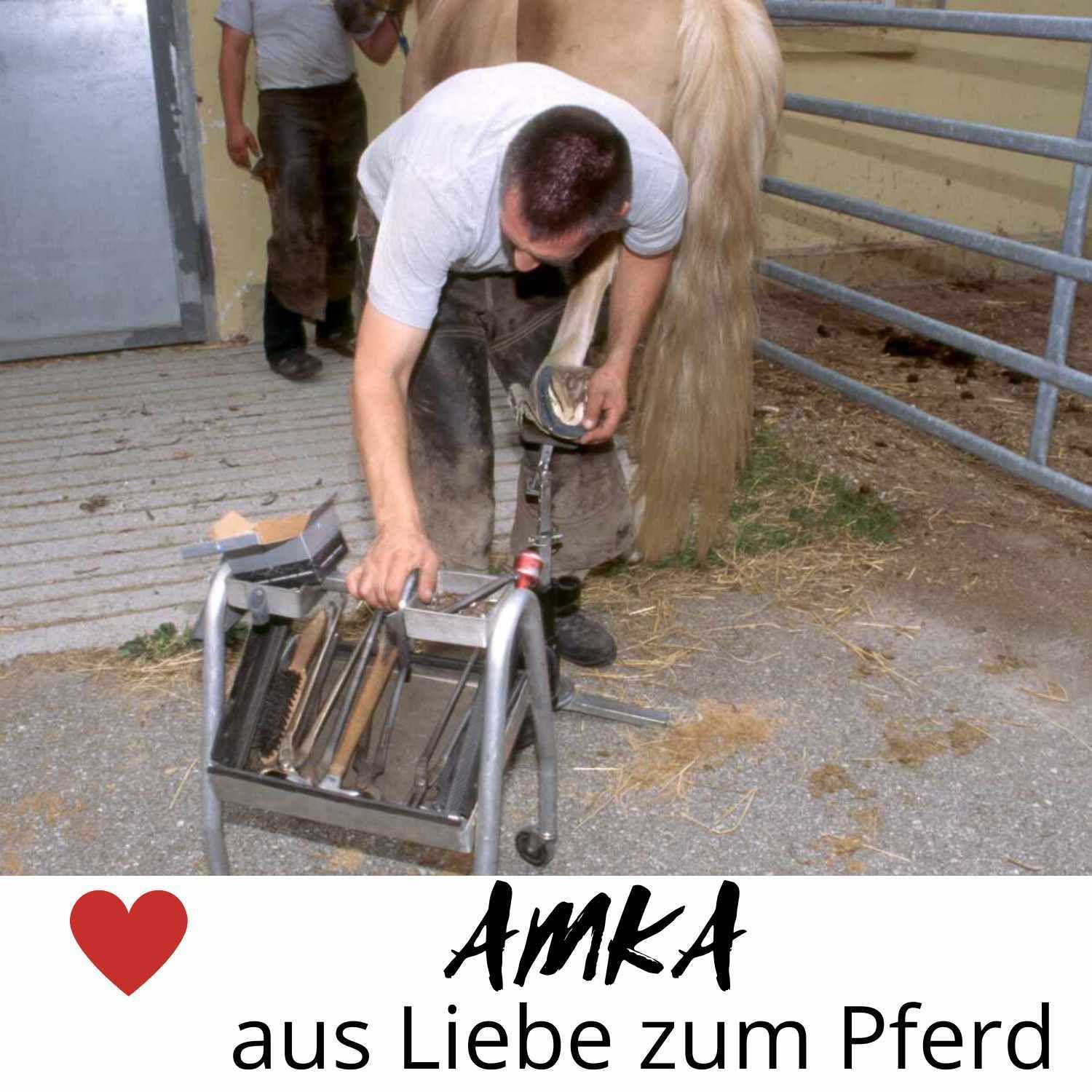 AMKA Hufraspel mit anatomisch geformten Griff