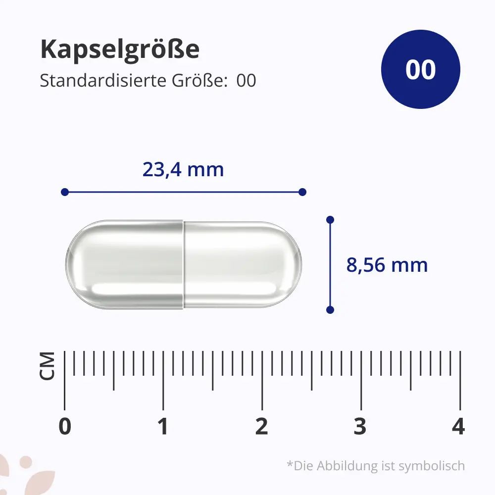Drei Dosen HealthyWorld Boswellia Serrata Kapseln, 85% Boswelliasäure.