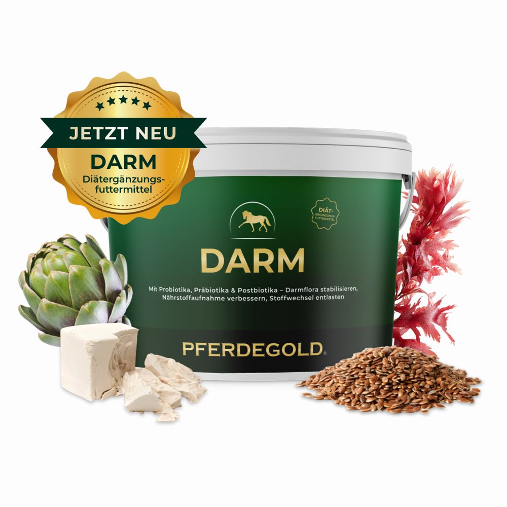 Grüner Eimer mit Pferdegold Darm Aufschrift, daneben Artischocke, Hefe, Leinsamen und rote Pflanze. Goldener Aufkleber "Jetzt neu Darm".