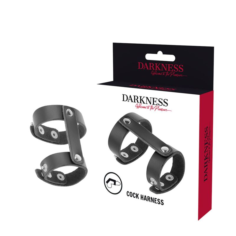 Verpackung mit zwei Produkten. Schwarzer Lederring mit zwei Ringen. Auf der Verpackung steht "DARKNESS" und "Cock Harness".