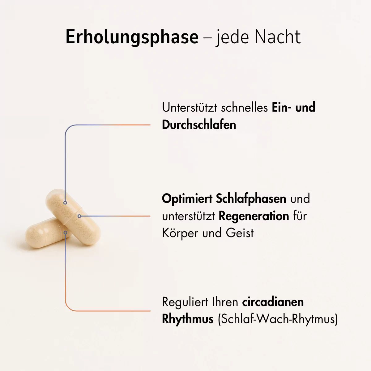 Zwei beige Kapseln. Text: Unterstützt schnelles Ein- und Durchschlafen, optimiert Schlafphasen, reguliert den circadianen Rhythmus.