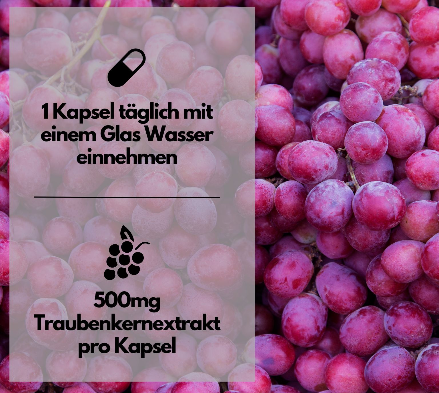 Nahaufnahme von roten Weintrauben mit Text über OPC Traubenkernextrakt.