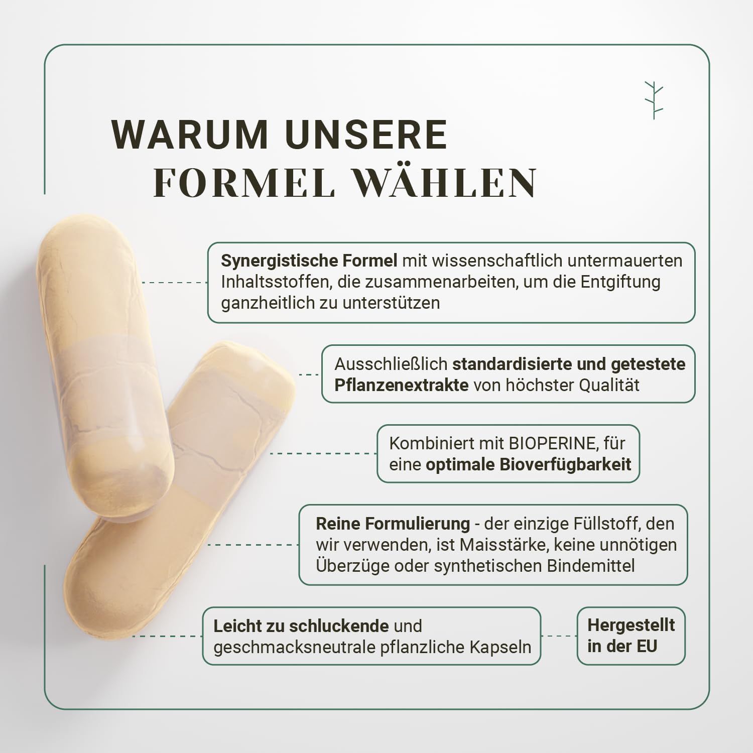 Zwei beige Kapseln liegen auf weißem Hintergrund. Text: Warum unsere Formel wählen. Synergistische Formel, Pflanzenextrakte, Bioperine.