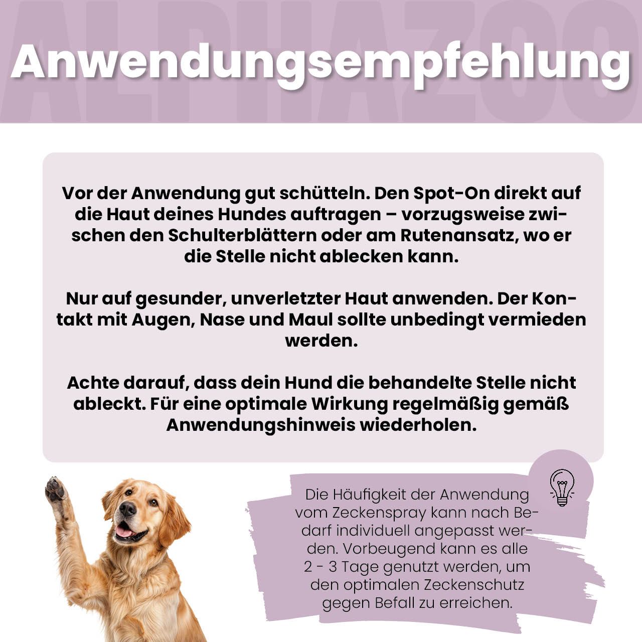 Goldener Retriever. Text: Anwendungsempfehlung. Spot-On auf die Haut auftragen. Nicht ablecken lassen.