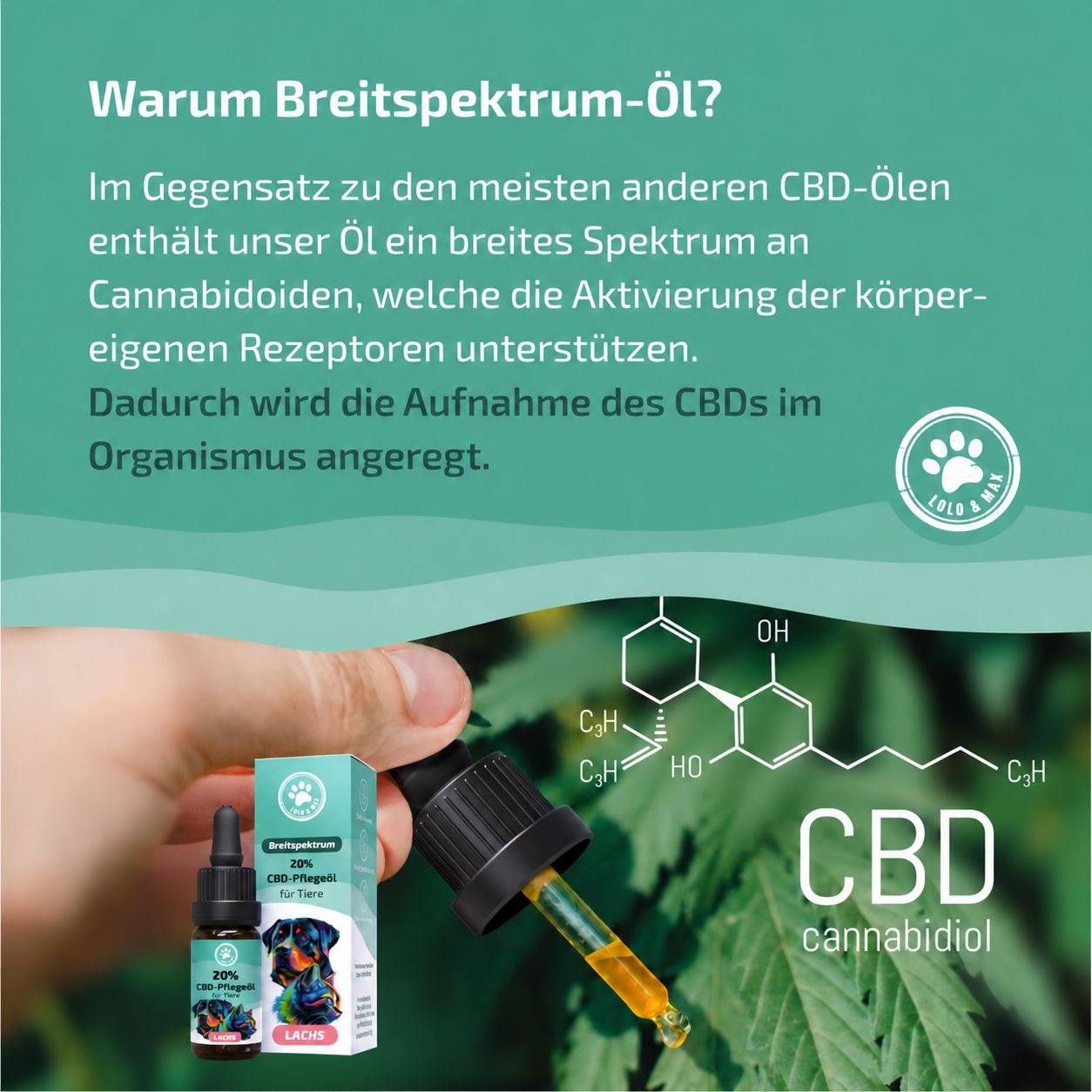 CBD-Pflegeöl für Tiere, 20% Breitband, mit Hund und Katze.