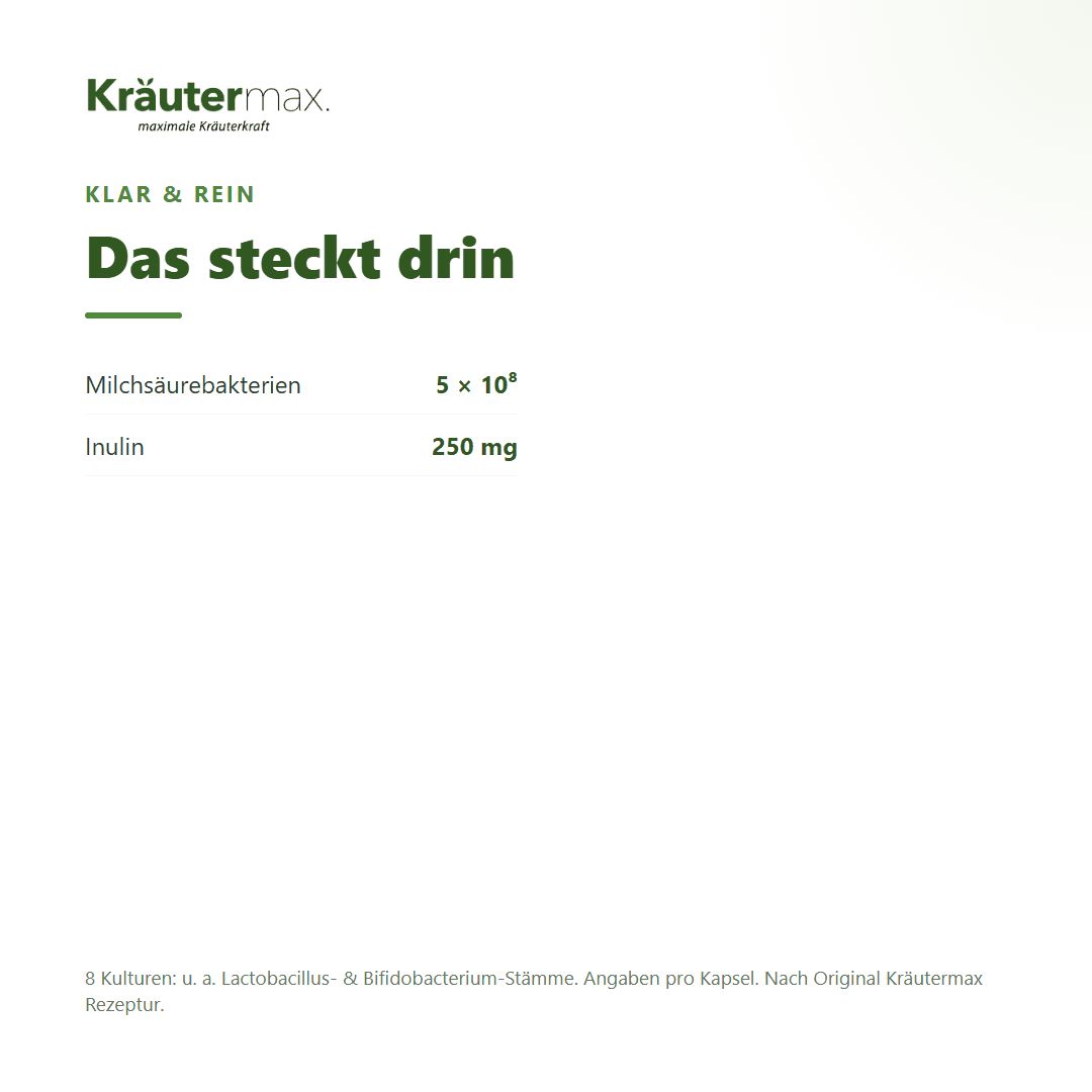 Übersicht der Inhaltsstoffe: 5x10^9 Milchsäurebakterien, 250 mg Inulin. Liste der Kulturen und Stämme.