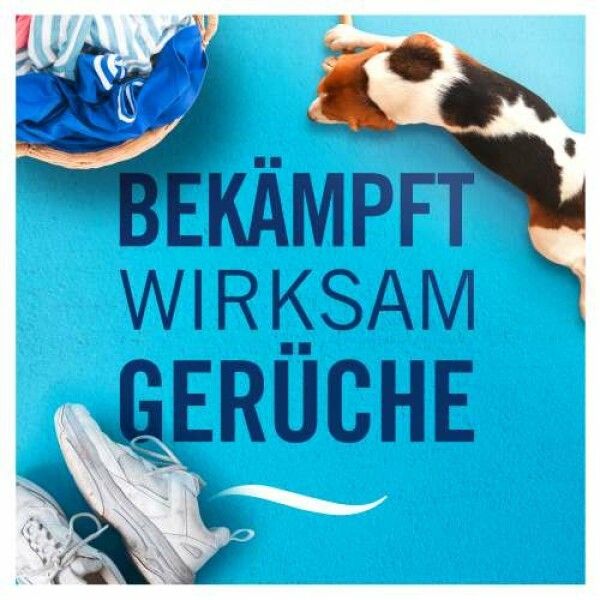 Blauer Hintergrund mit Text: Bekämpft wirksam Gerüche. Korb mit Kleidung, Turnschuhe und Hund.