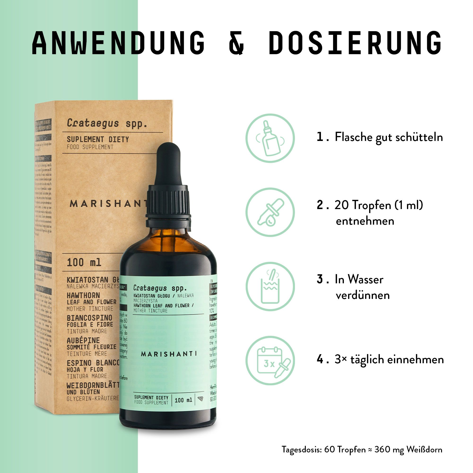 Braune Flasche mit Pipette und Verpackung. Text: Marishanti Weißdorn Extrakt. Anwendung & Dosierung: 4 Schritte.
