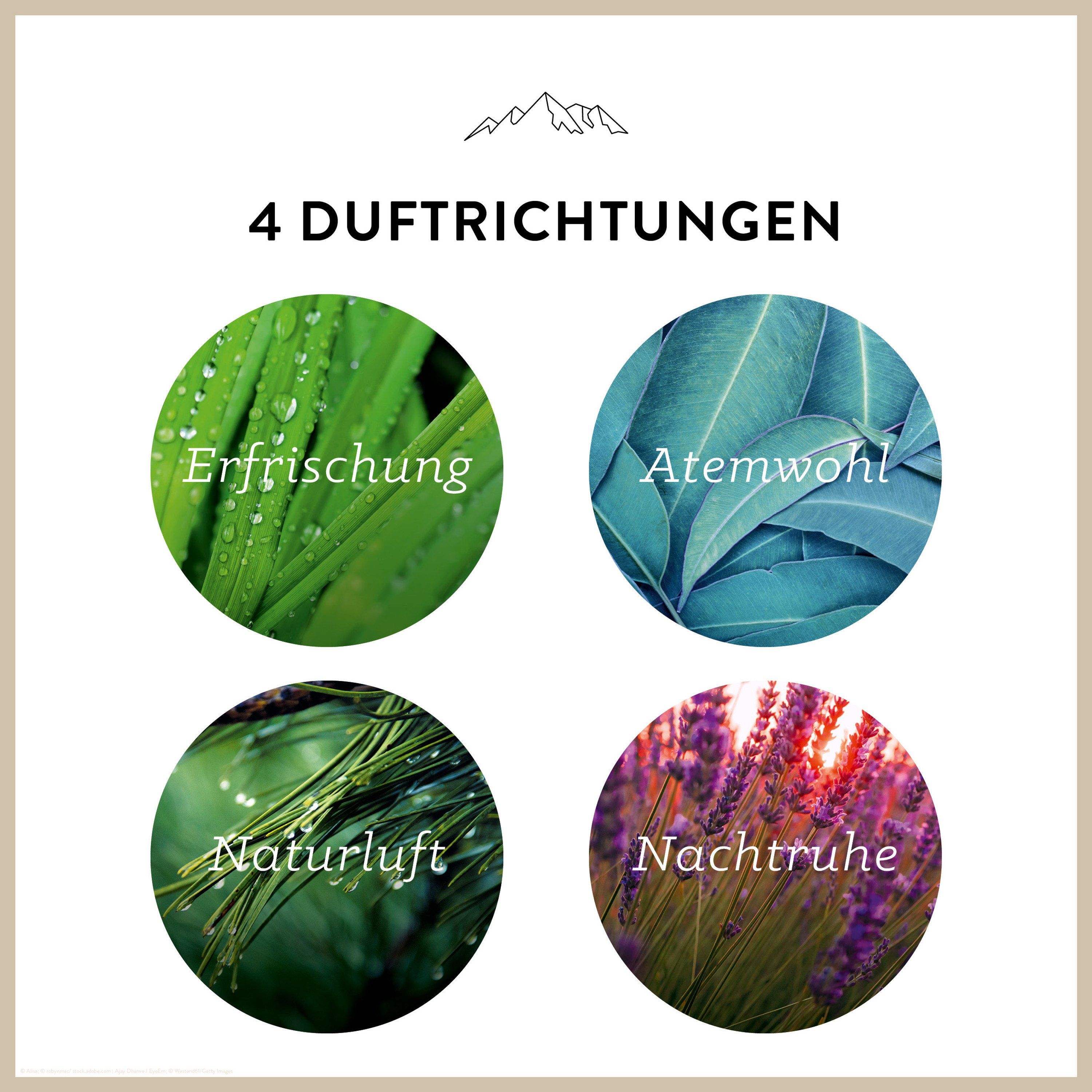 Vier runde Bilder mit Pflanzenmotiven: Erfrischung, Atemwohl, Naturluft, Nachtruhe. Text: "4 Duftrichtungen".