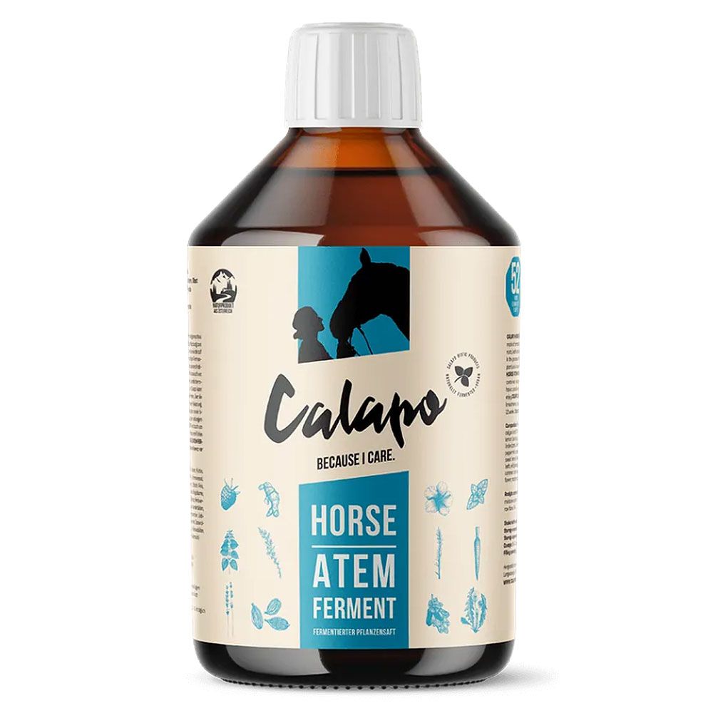 CALAPO HORSE ATEM FERMENT