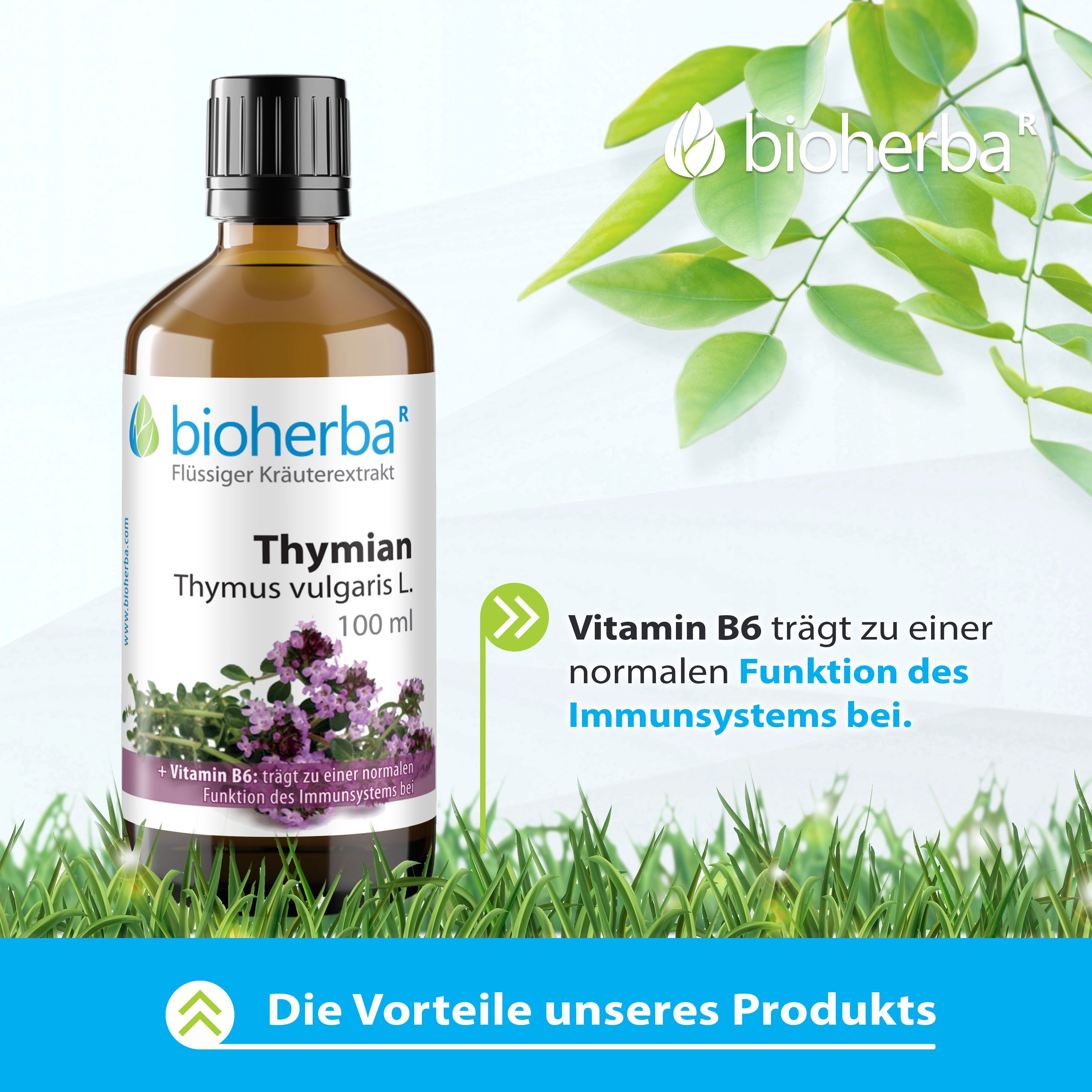 Bioherba Thymian Tinktur Flasche mit schwarzem Deckel, umgeben von grünen Blättern und Gras. Text: Vorteile unseres Produkts.