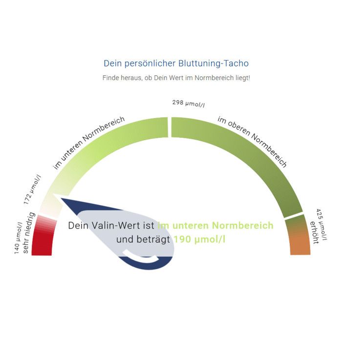 Grafik eines persönlichen Blutungs-Tachos mit Valin-Wert im unteren Normbereich.