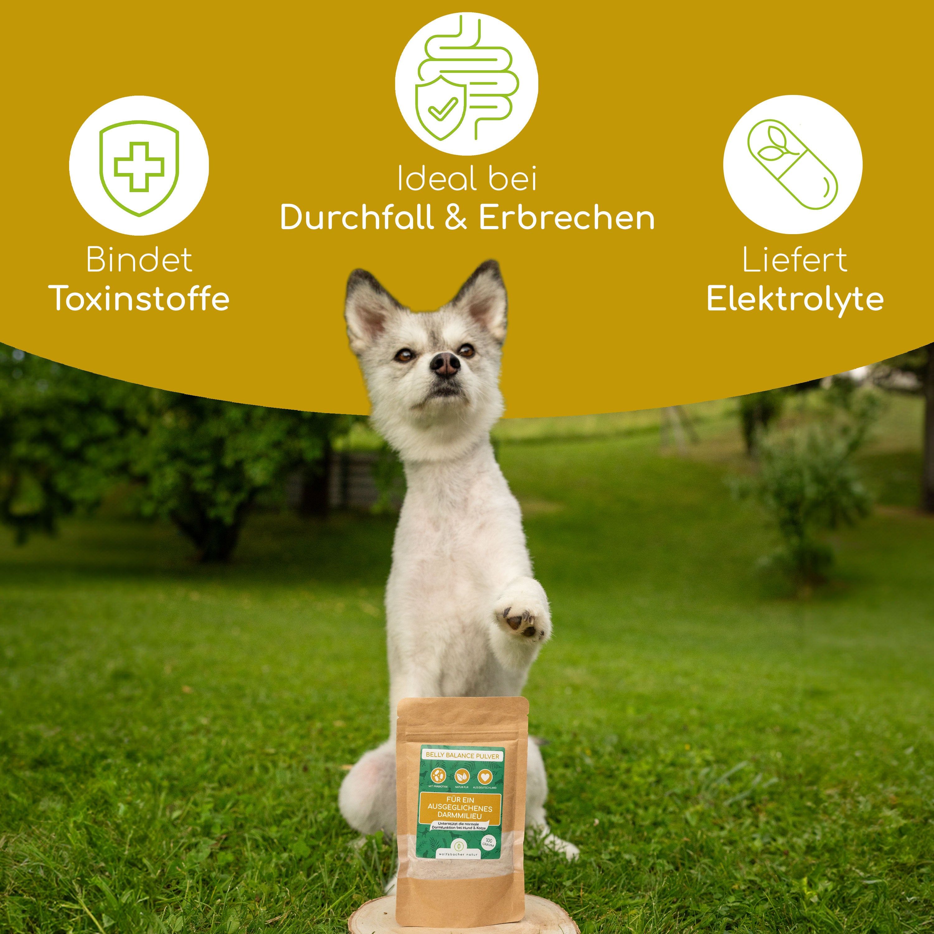 Wolfsbacher Natur Belly Balance Pulver