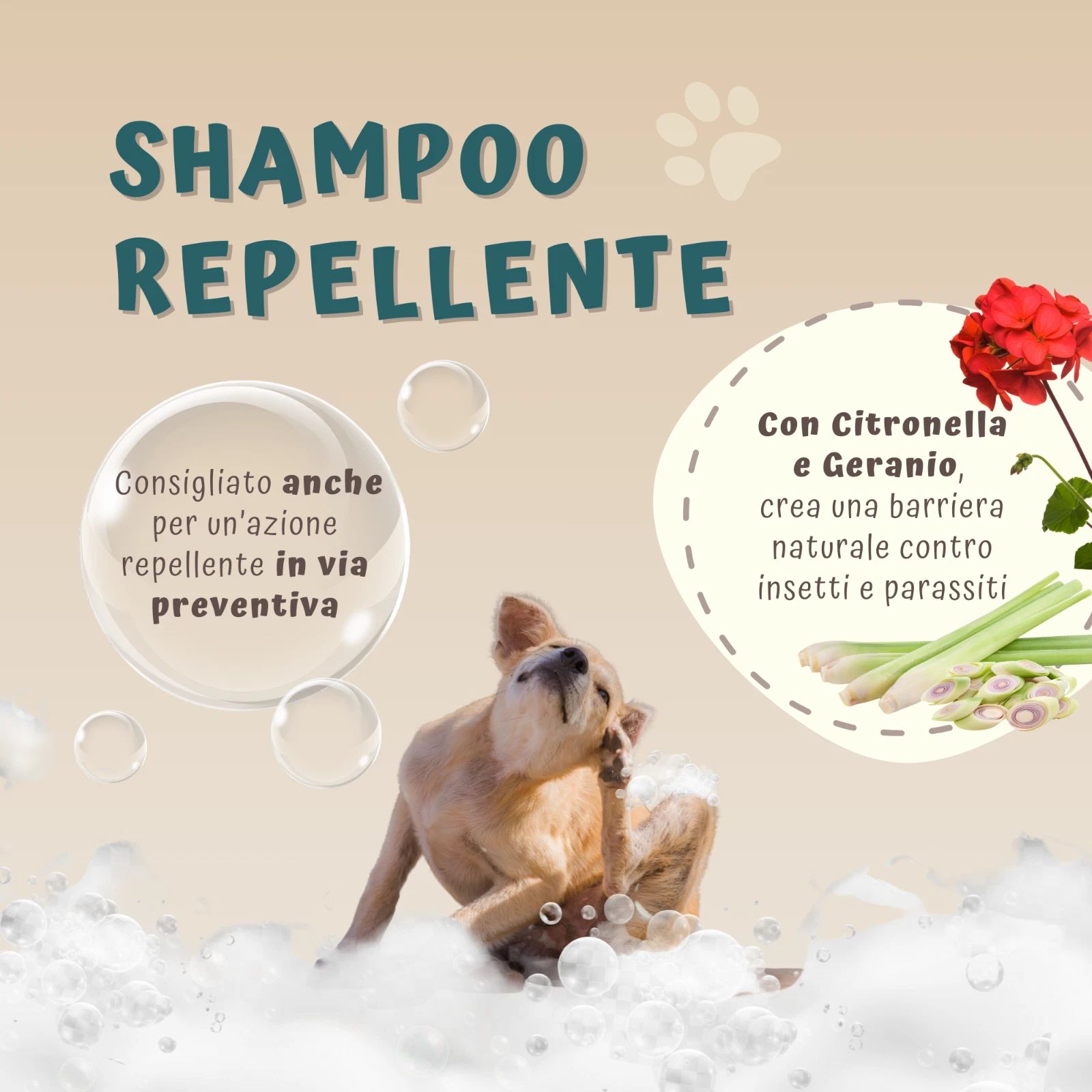 Illustration mit Hund, Seifenblasen und Pflanzen. Text: Shampoo Repellent. Mit Citronella und Geranie, Barriere gegen Insekten.