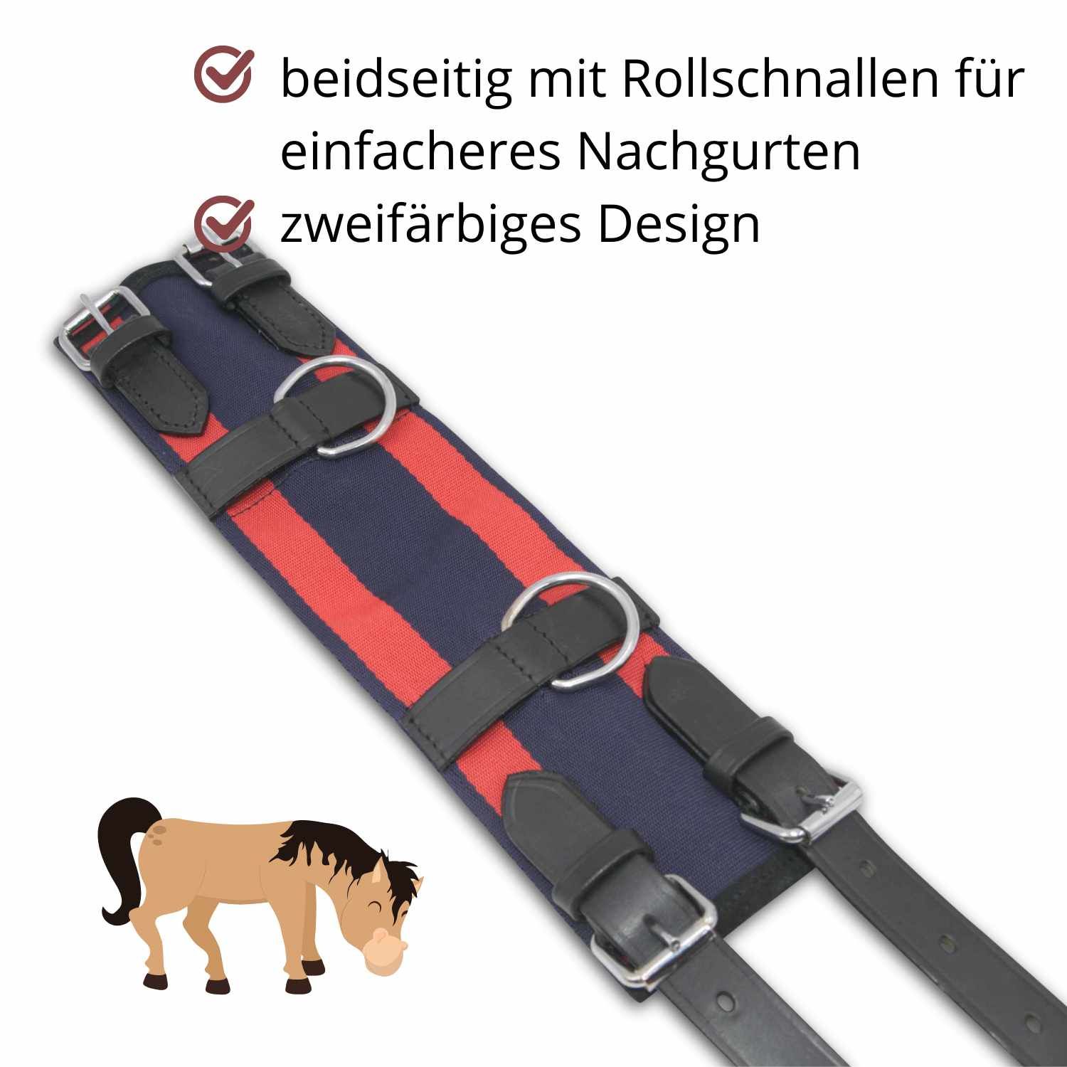 Nahaufnahme des Longiergurts. Rote und blaue Streifen, Metallringe, schwarze Lederriemen und Schnallen.