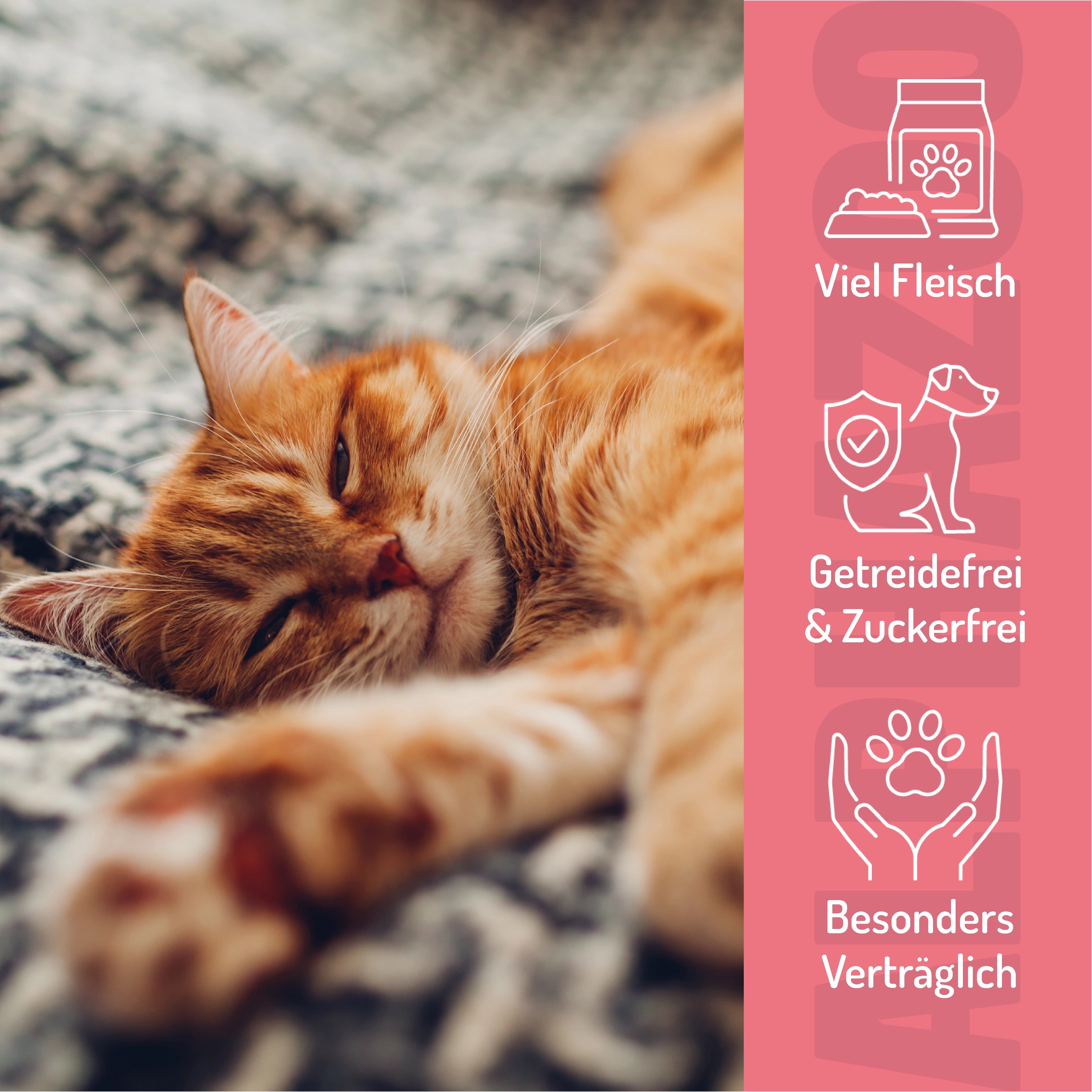 Orange Katze liegt auf Decke. Rosa Hintergrund mit Icons: Viel Fleisch, getreidefrei & zuckerfrei, besonders verträglich.