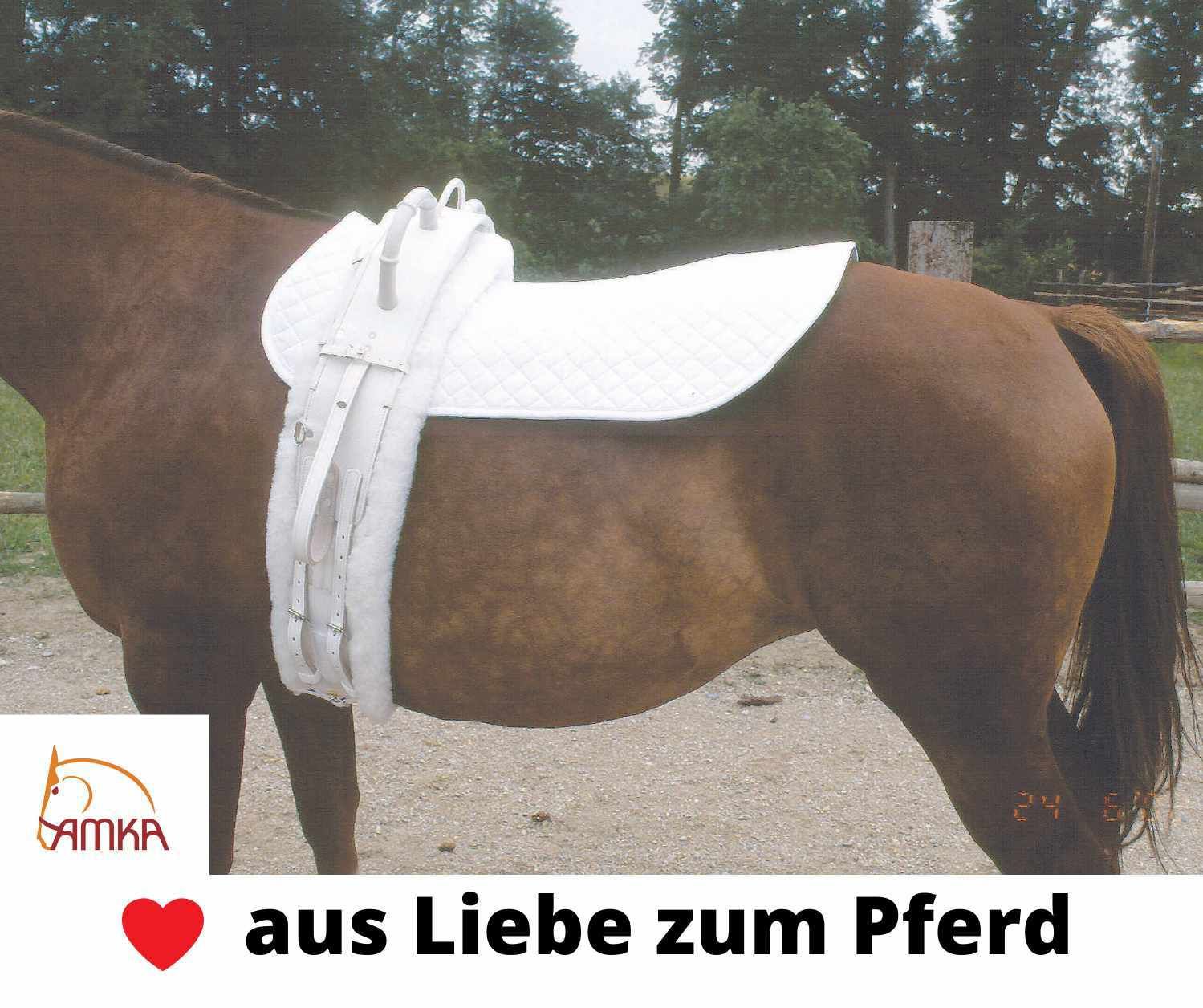 Weißer Voltigiergurt auf einem Pferd. AMKA Logo unten links. Text: aus Liebe zum Pferd.