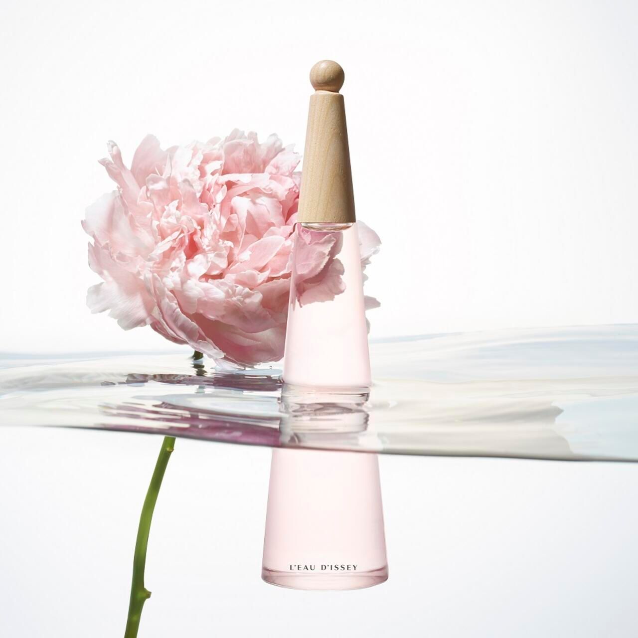 Rosa Flakon und Pfingstrose im Wasser. Flakon mit Holzdeckel. Spiegelung im Wasser.