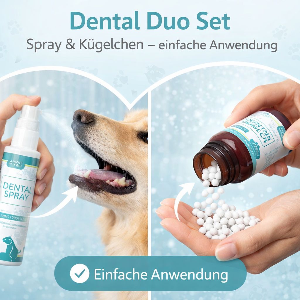 Hund erhält Dental Spray. Daneben werden Kügelchen aus einer Flasche in die Hand gegeben. Text: Dental Duo Set.
