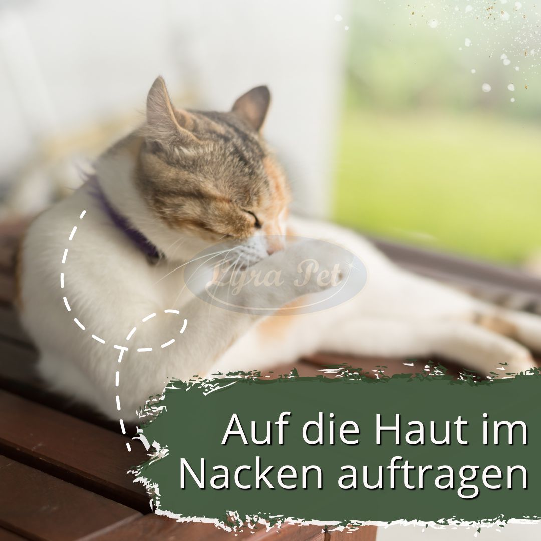 IPERON® SPOT-ON Katzen