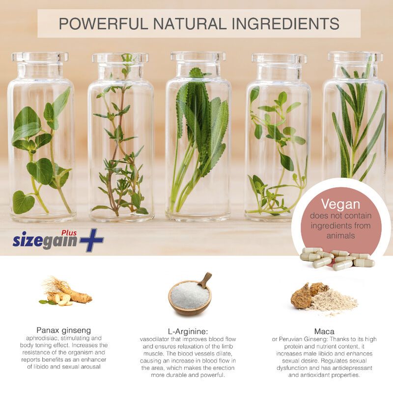 Glasbehälter mit Kräutern und Kapseln. Text: "SizeGain Plus", "Vegan". Zutaten: Panax Ginseng, L-Arginin, Maca.