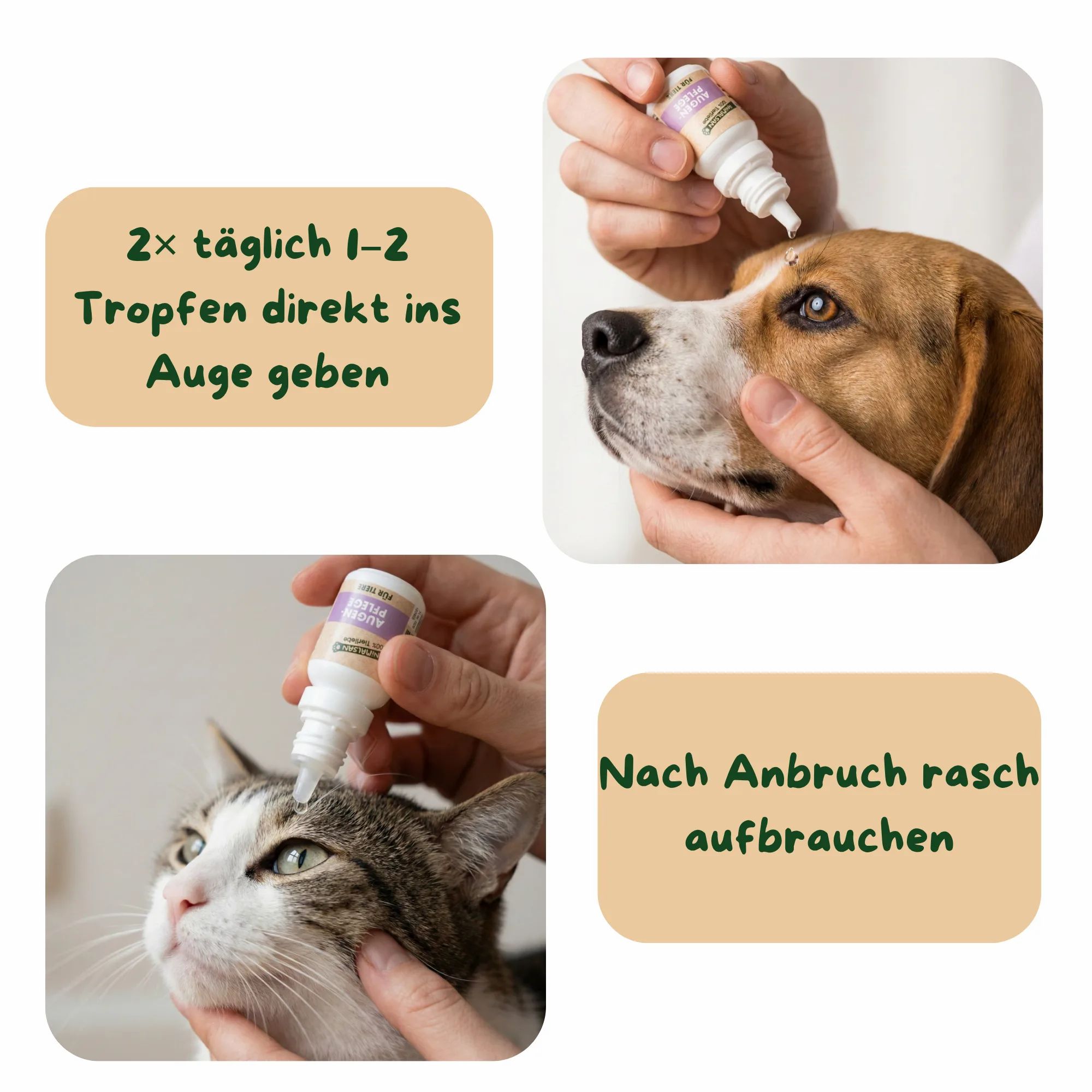 ANIMALSAN Augenpflege für Tiere: Anwendung bei Hund und Katze. Mit Hinweisen zur Dosierung.