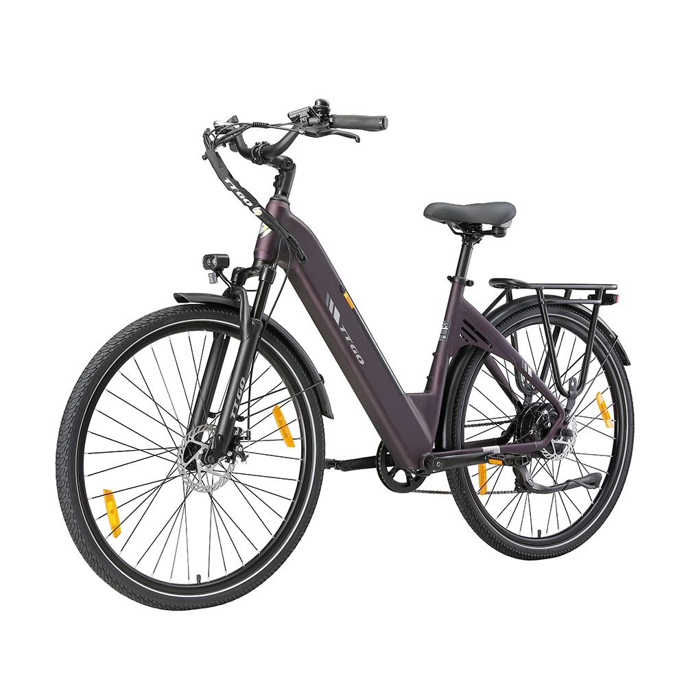 Dunkelviolettes Elektrofahrrad mit Gepäckträger, Schutzblechen und Beleuchtung. Schwarze Reifen und Sattel. TTGO-Logo.