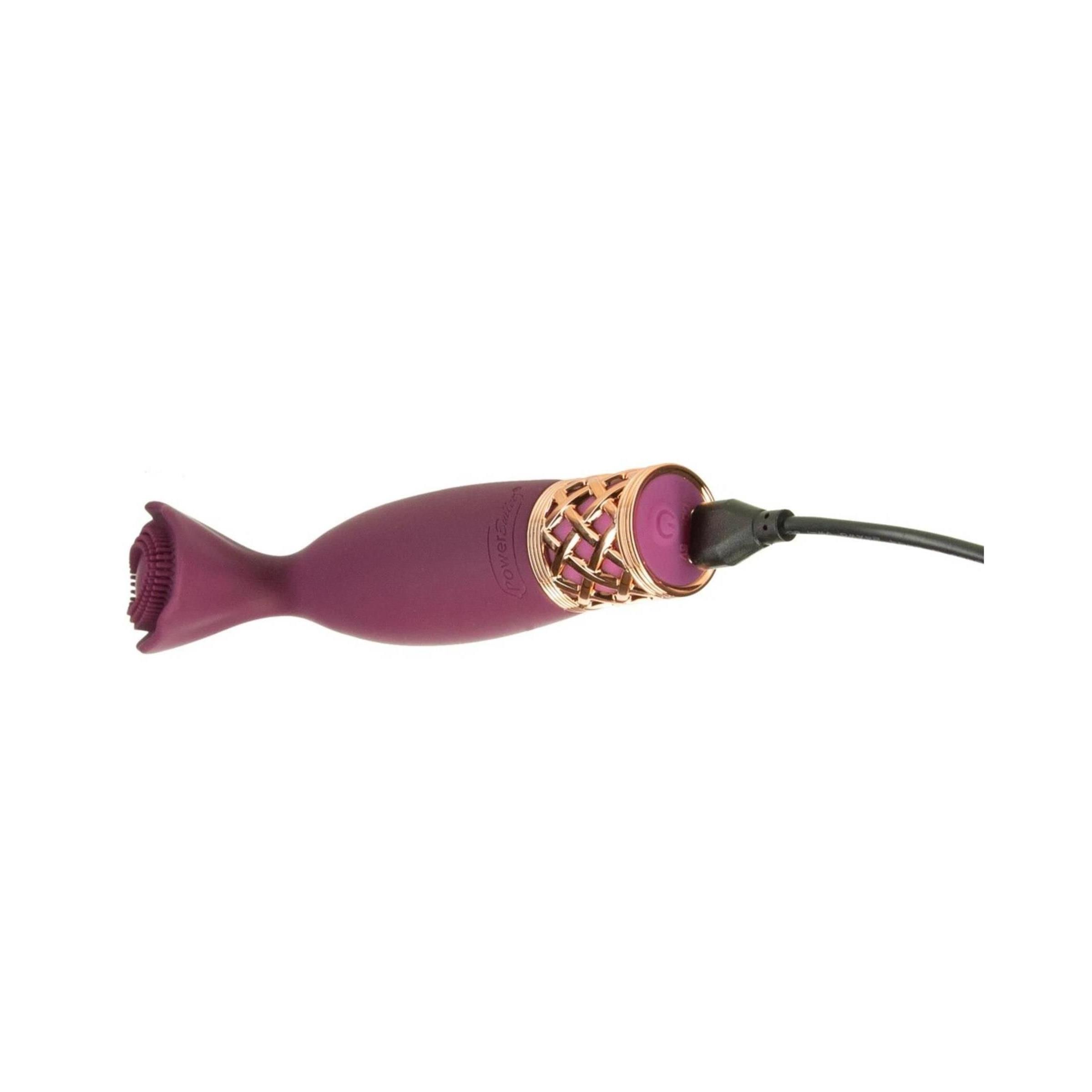 Lila Vibrator mit goldfarbenem Gittermuster am Griff. USB-Kabel angeschlossen.