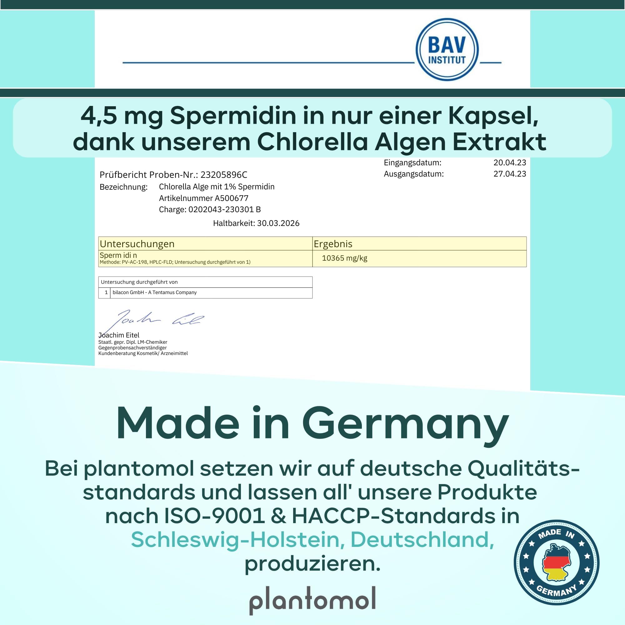 Zertifikat mit Informationen zu Spermidin. 4,5 mg Spermidin in einer Kapsel. Hergestellt in Deutschland nach ISO-9001 & HACCP-Standards.