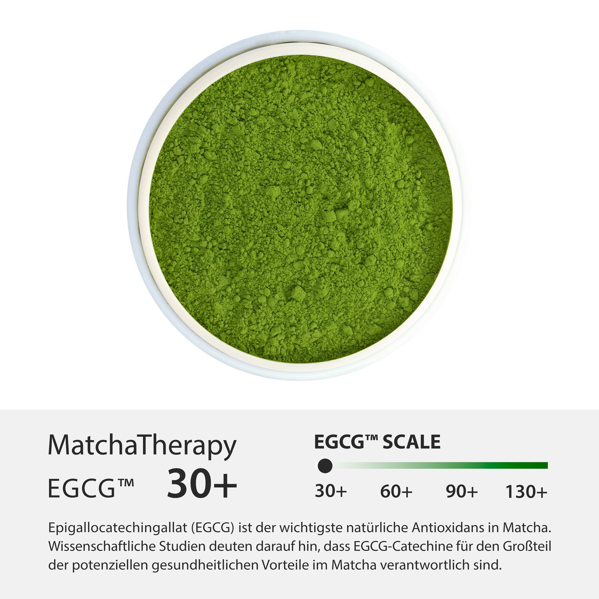 Draufsicht auf grünes Matcha-Pulver. EGCG-Skala mit 30+, 60+, 90+ und 130+. Text über Antioxidantien in Matcha.